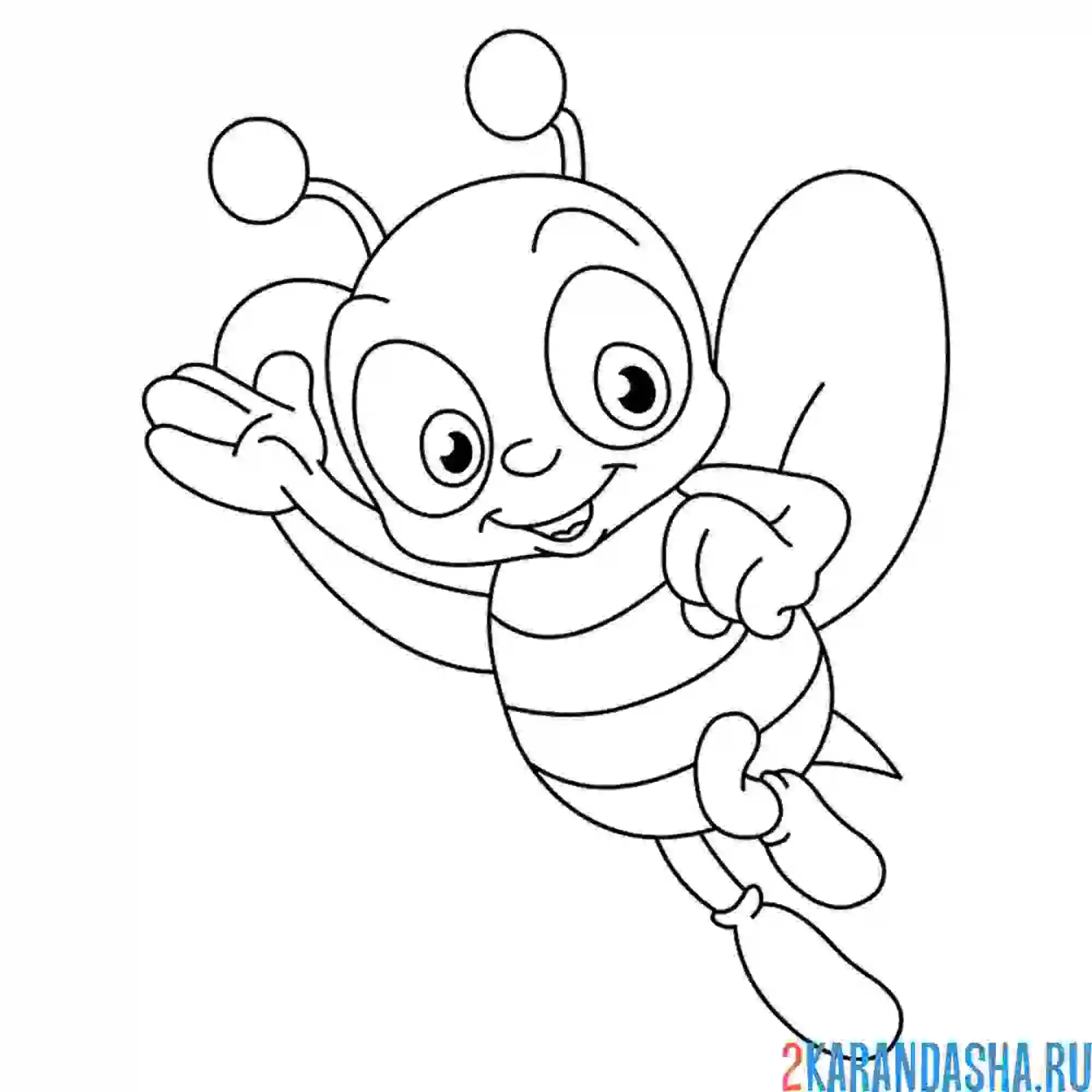 Раскраска пчелка