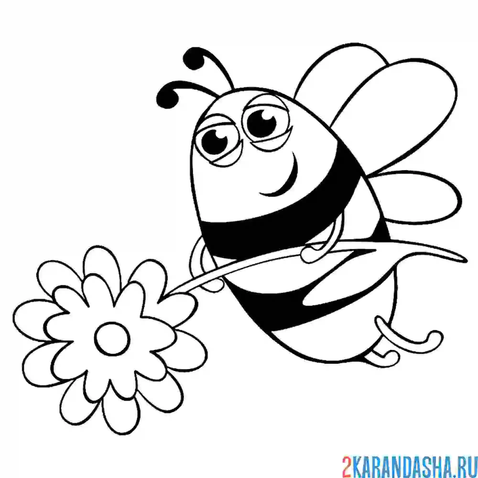 Раскраска пчелка с цветочком