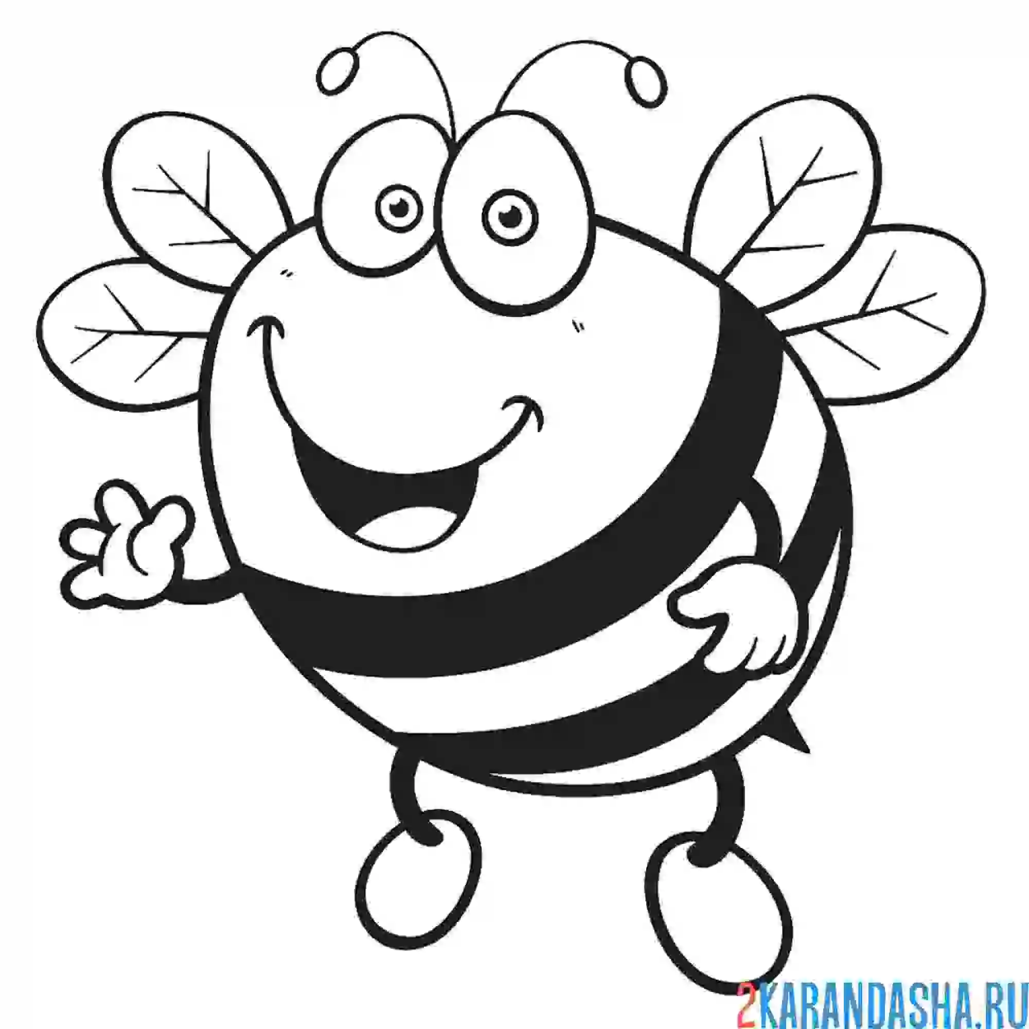 Раскраска картинка пчелки