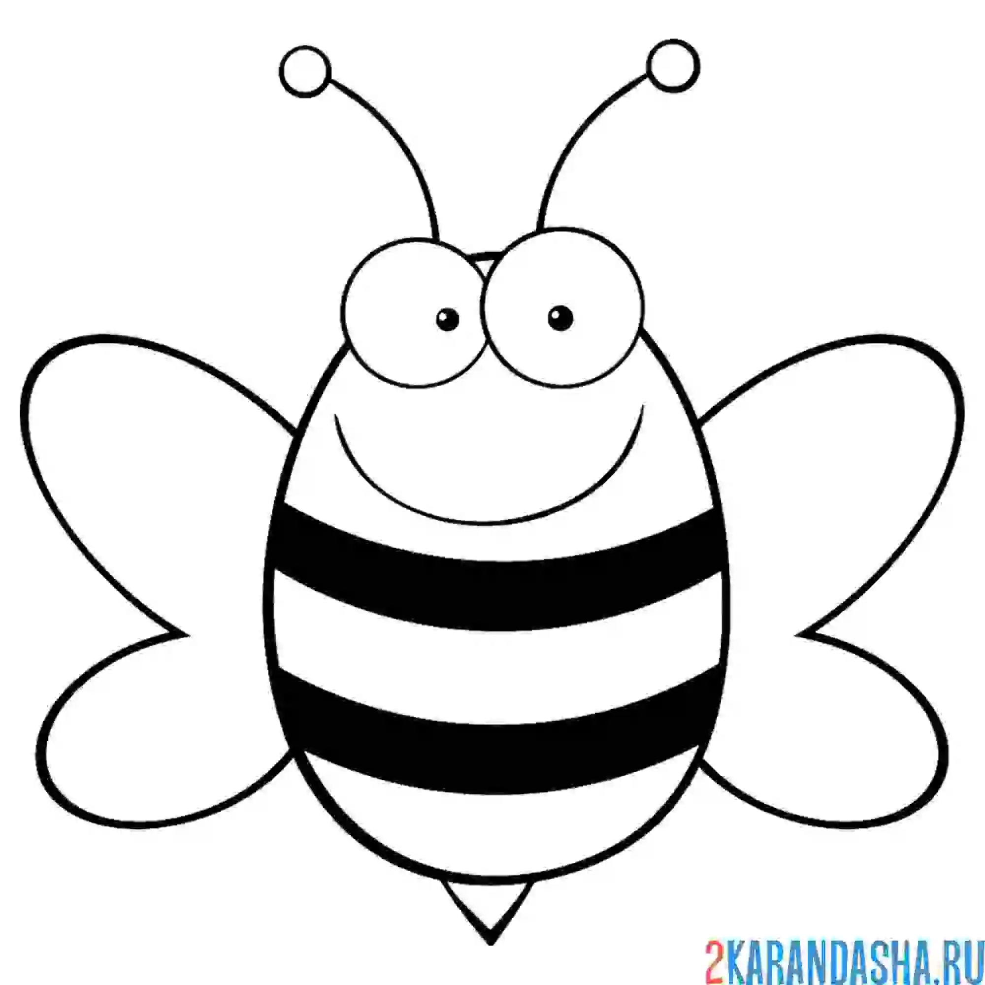 Раскраска рисунок пчелы