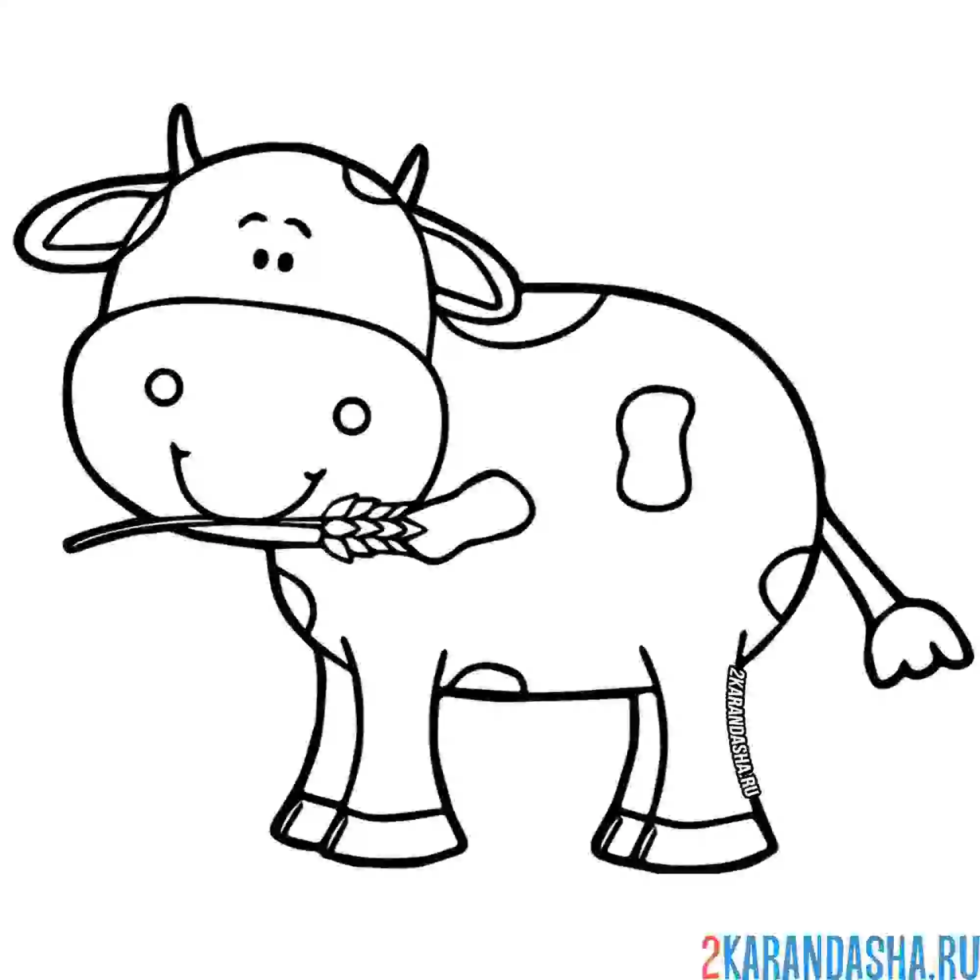 Раскраска теленок улыбается