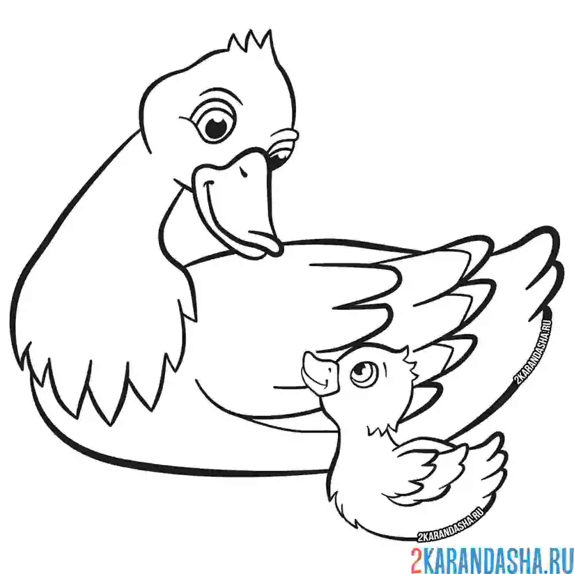 Раскраска мама уточка и утенок