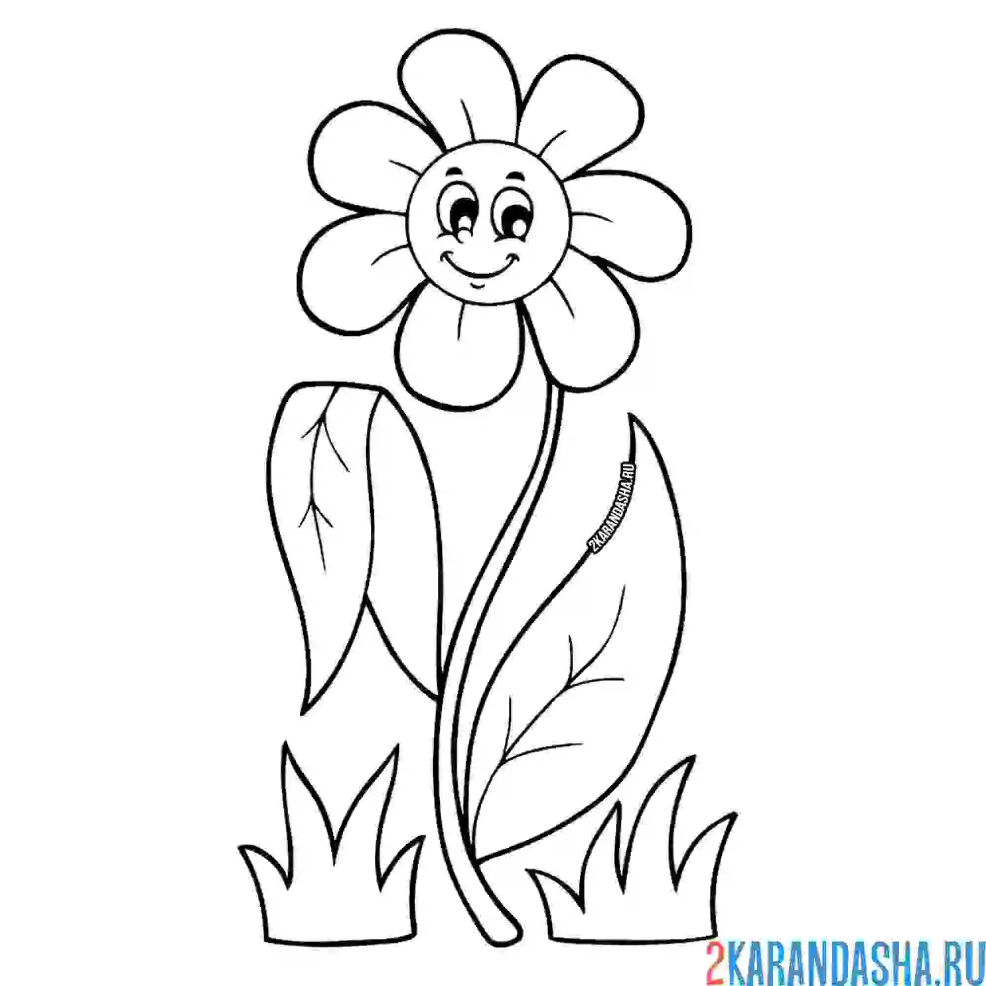 Раскраска улыбающийся цветок милая ромашка