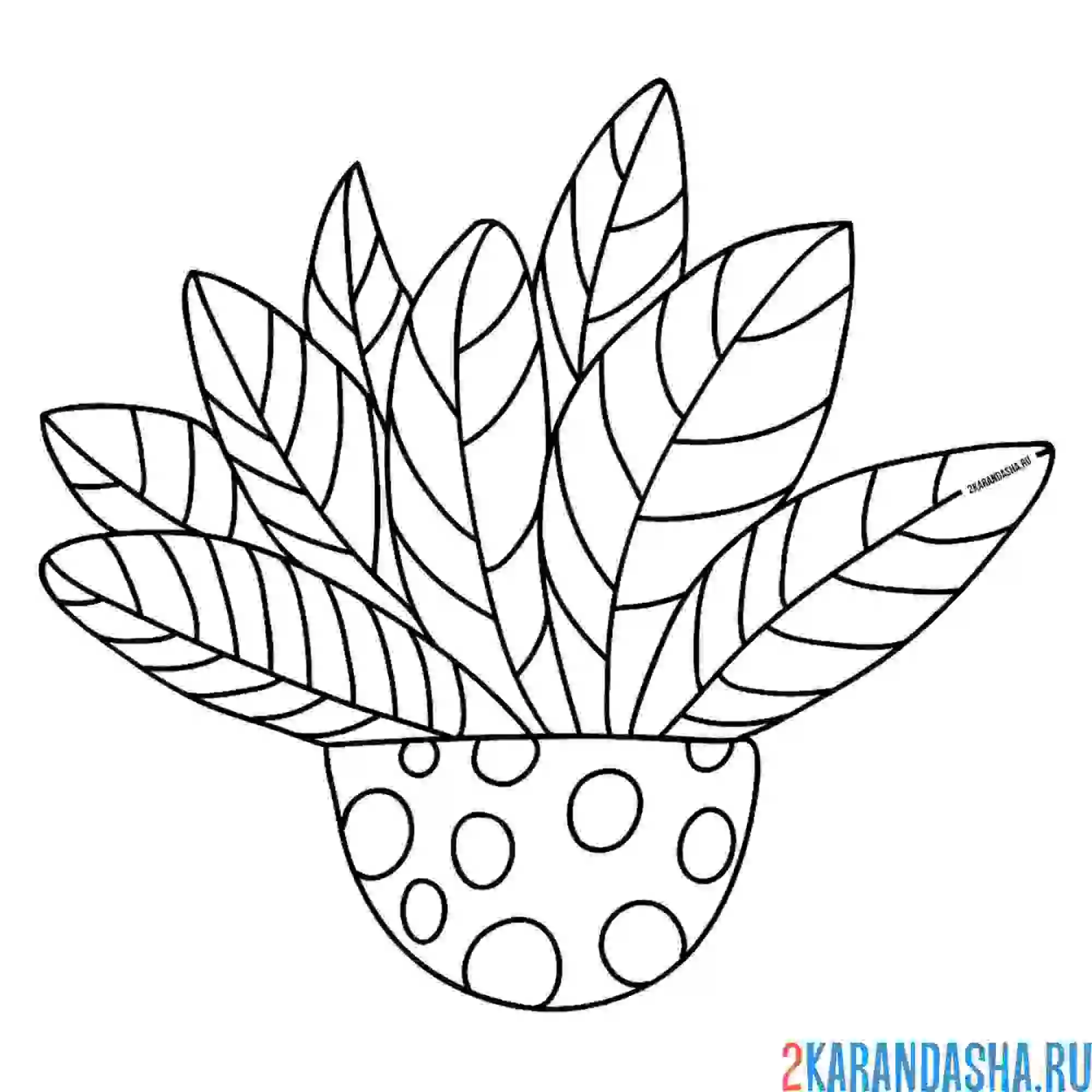 Раскраска цветы в горшке