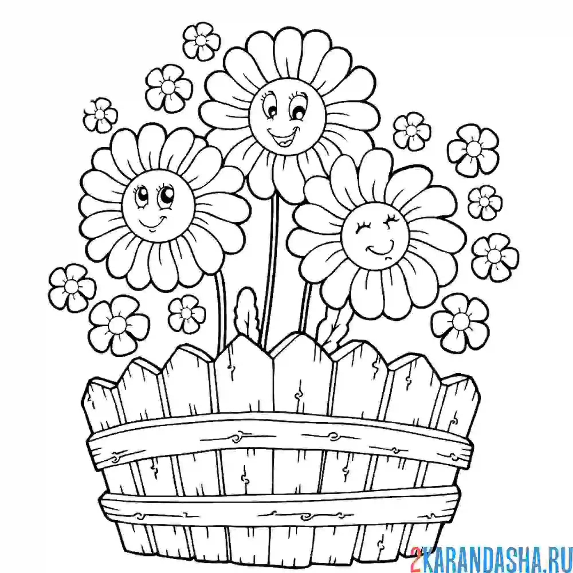 Раскраска три цветка ромашки