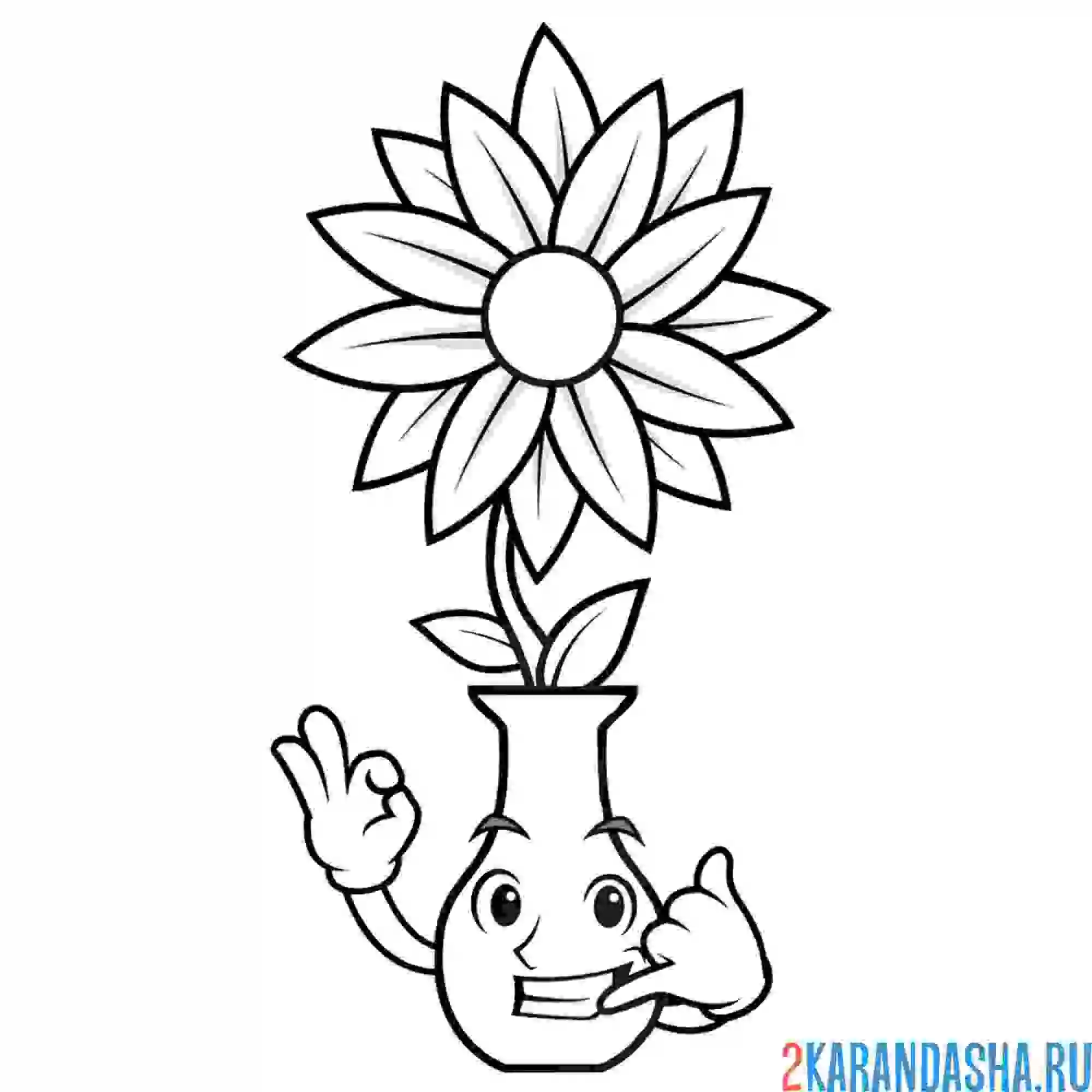 Раскраска ромашка цветочек в вазе