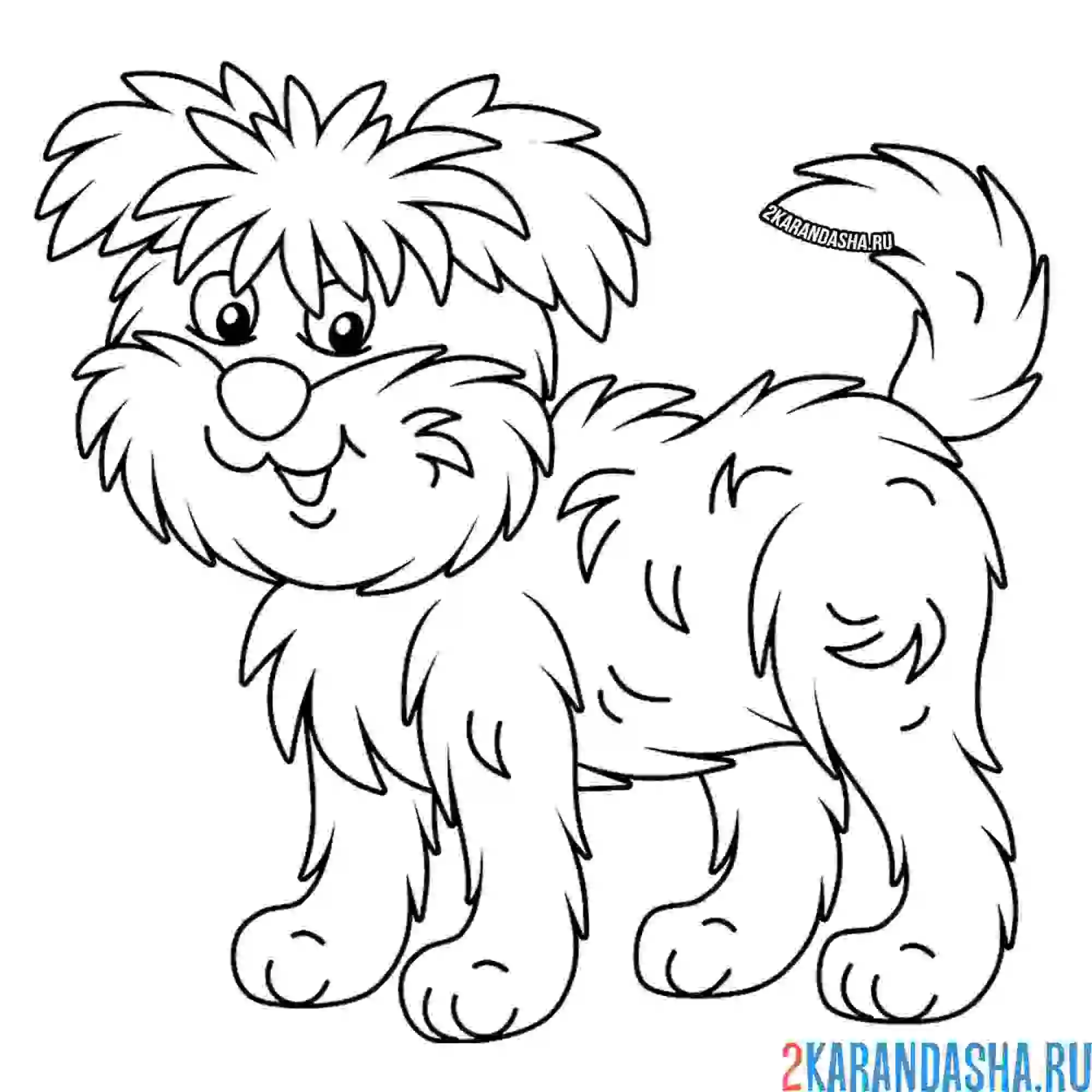 Раскраска лохматая собака