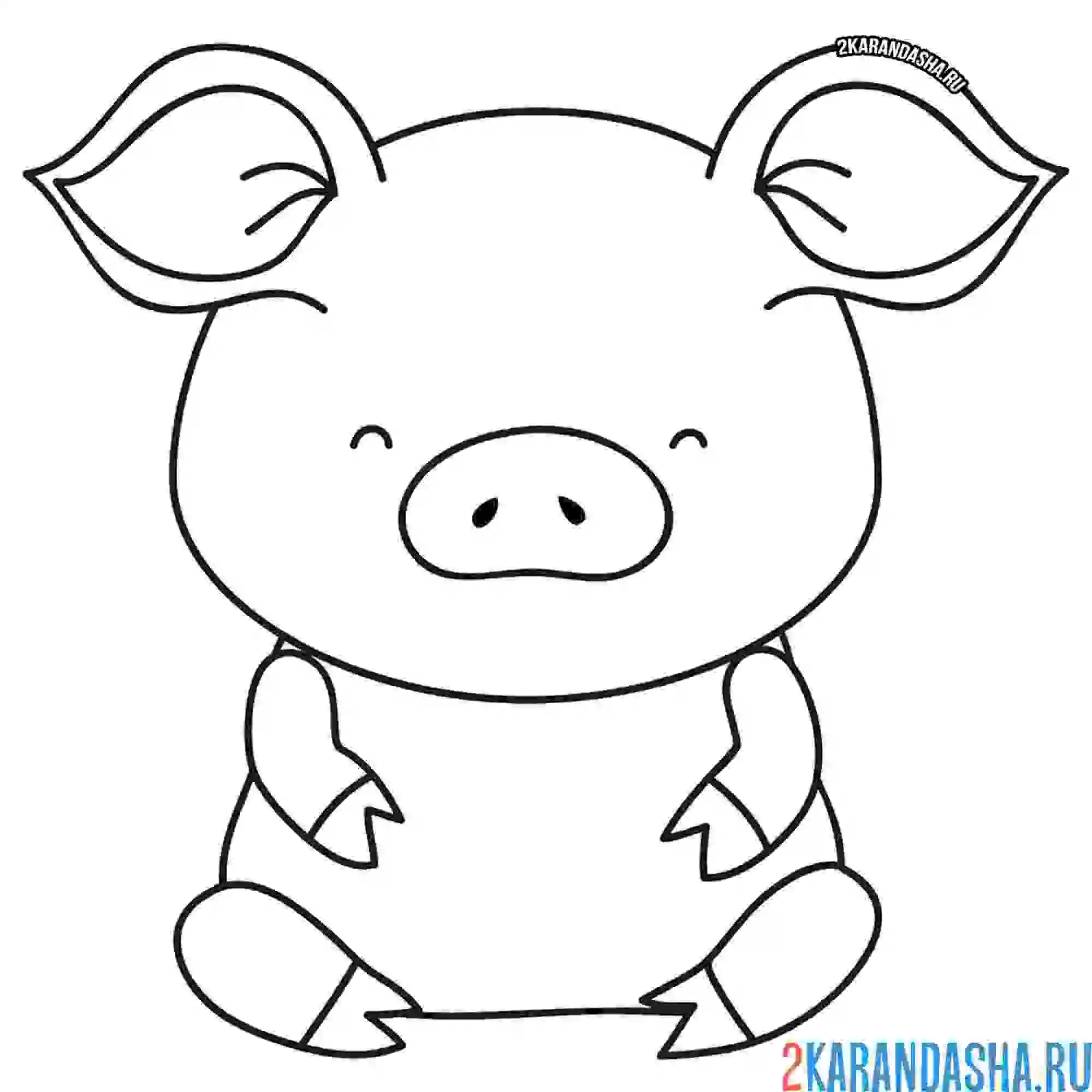 Раскраска маленькая свинка