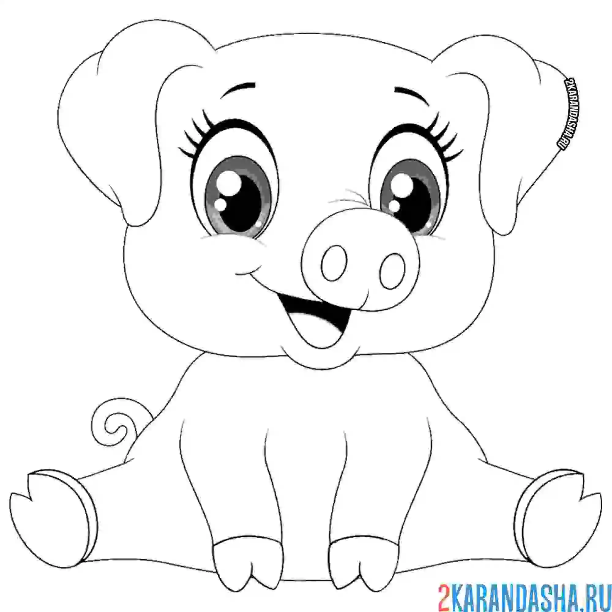 Раскраска красивый поросенок