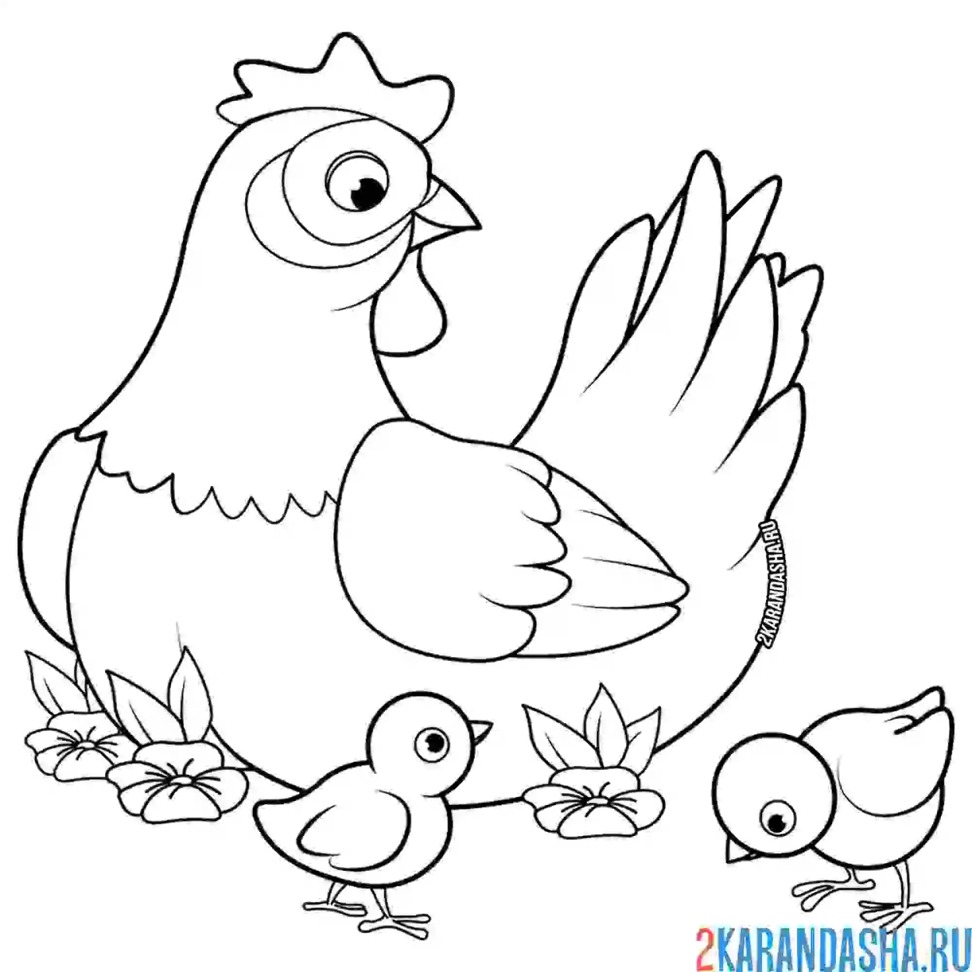 Раскраска мама курица и цыплята