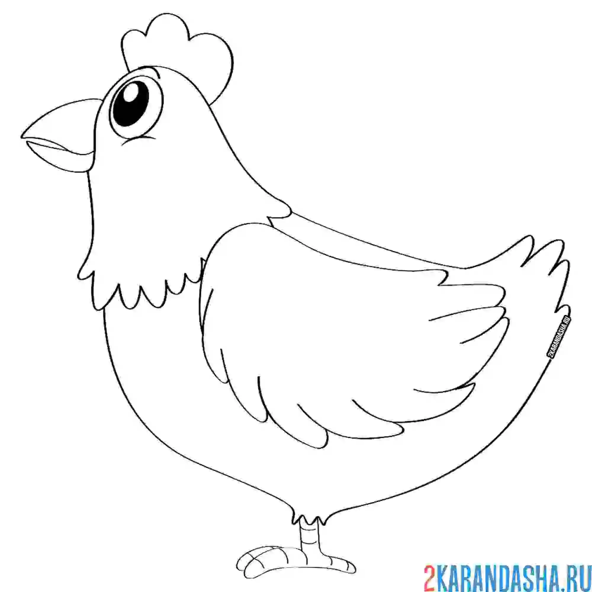 Раскраска курочка сбоку