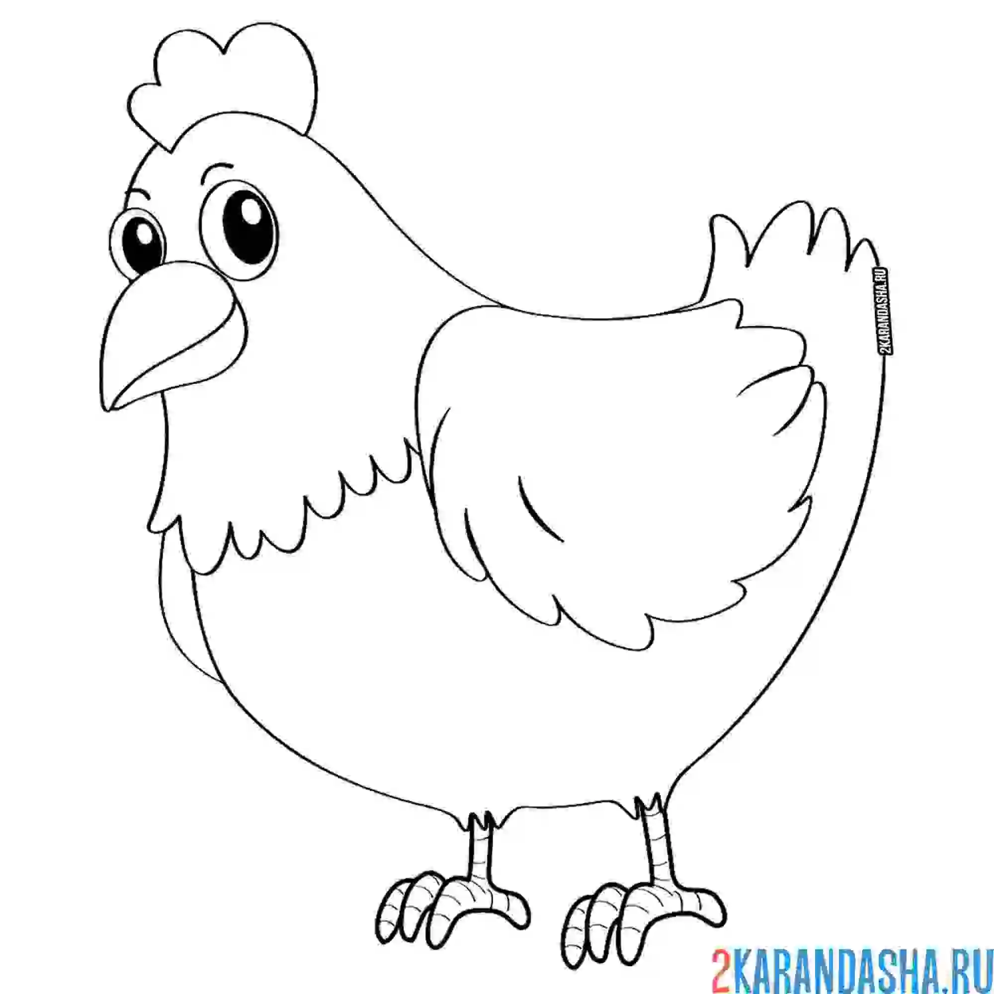 Раскраска курица деревенская