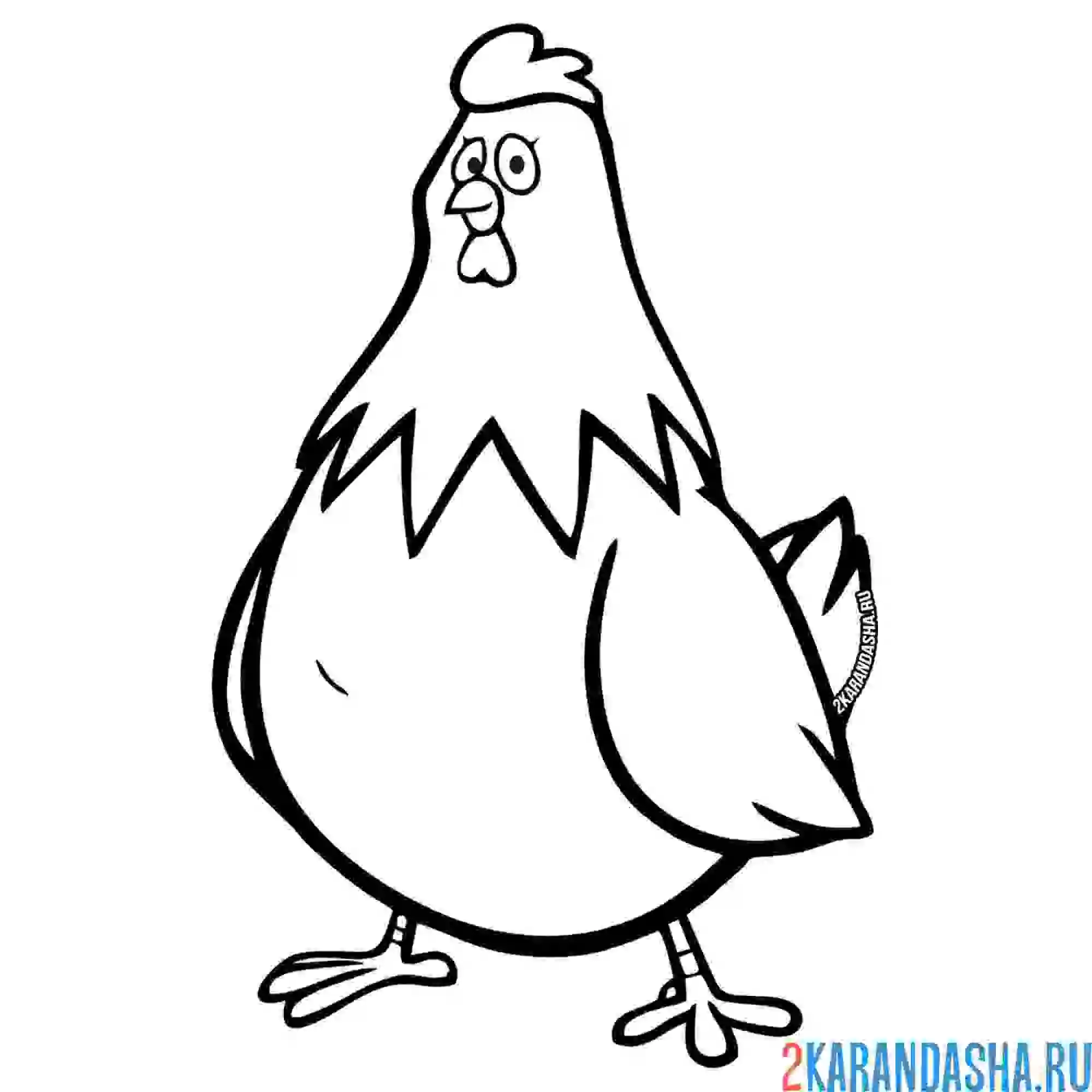 Раскраска курица без петуха