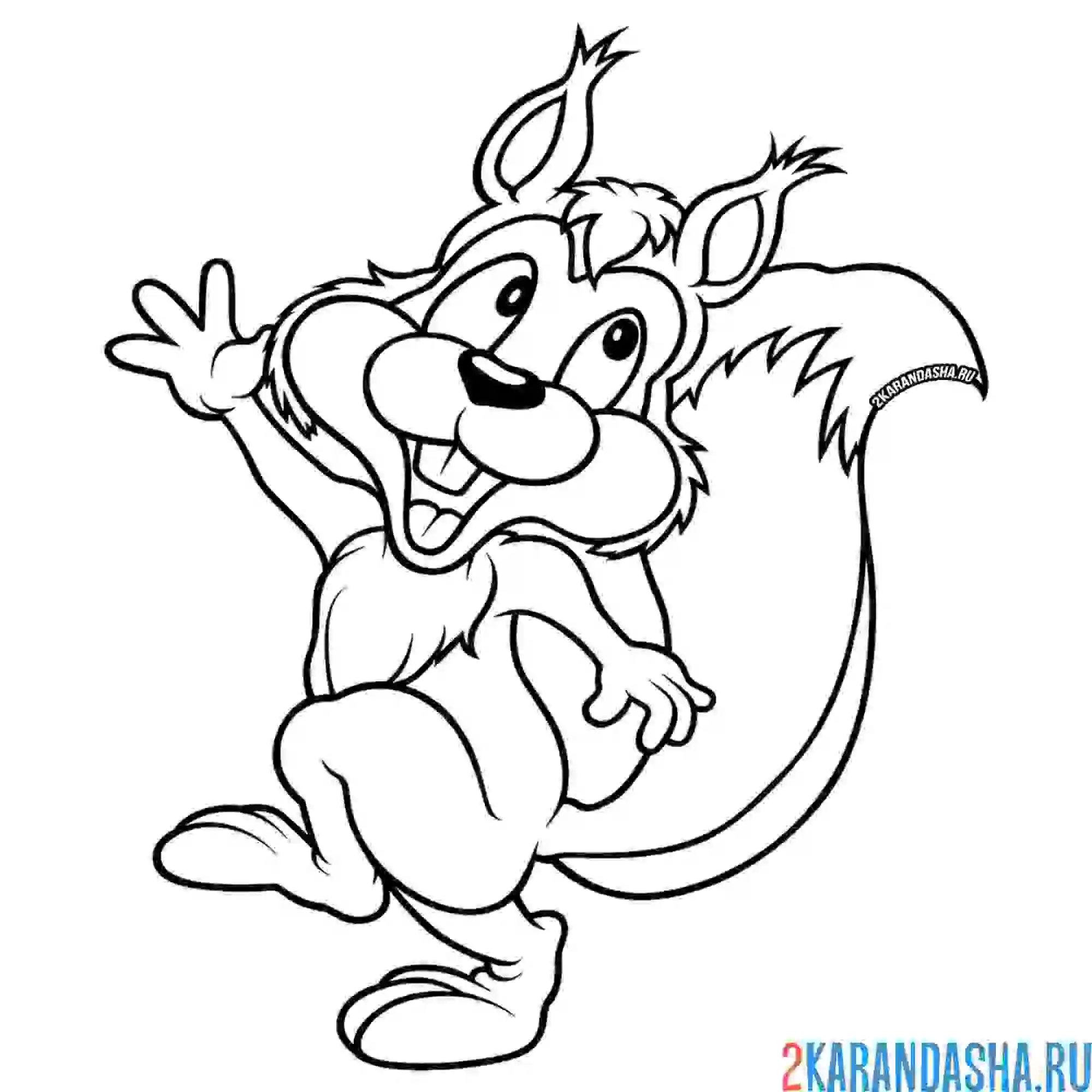 Раскраска активная белка