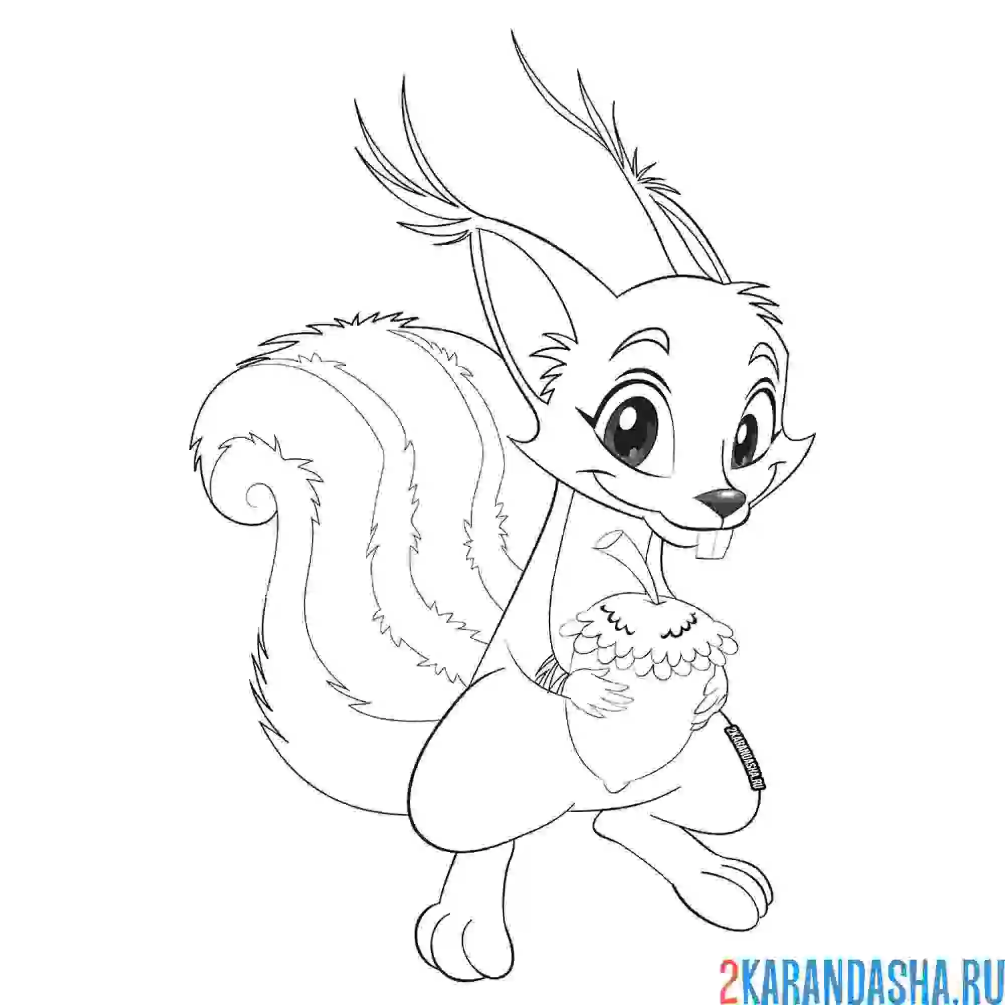 Раскраска милая белочка