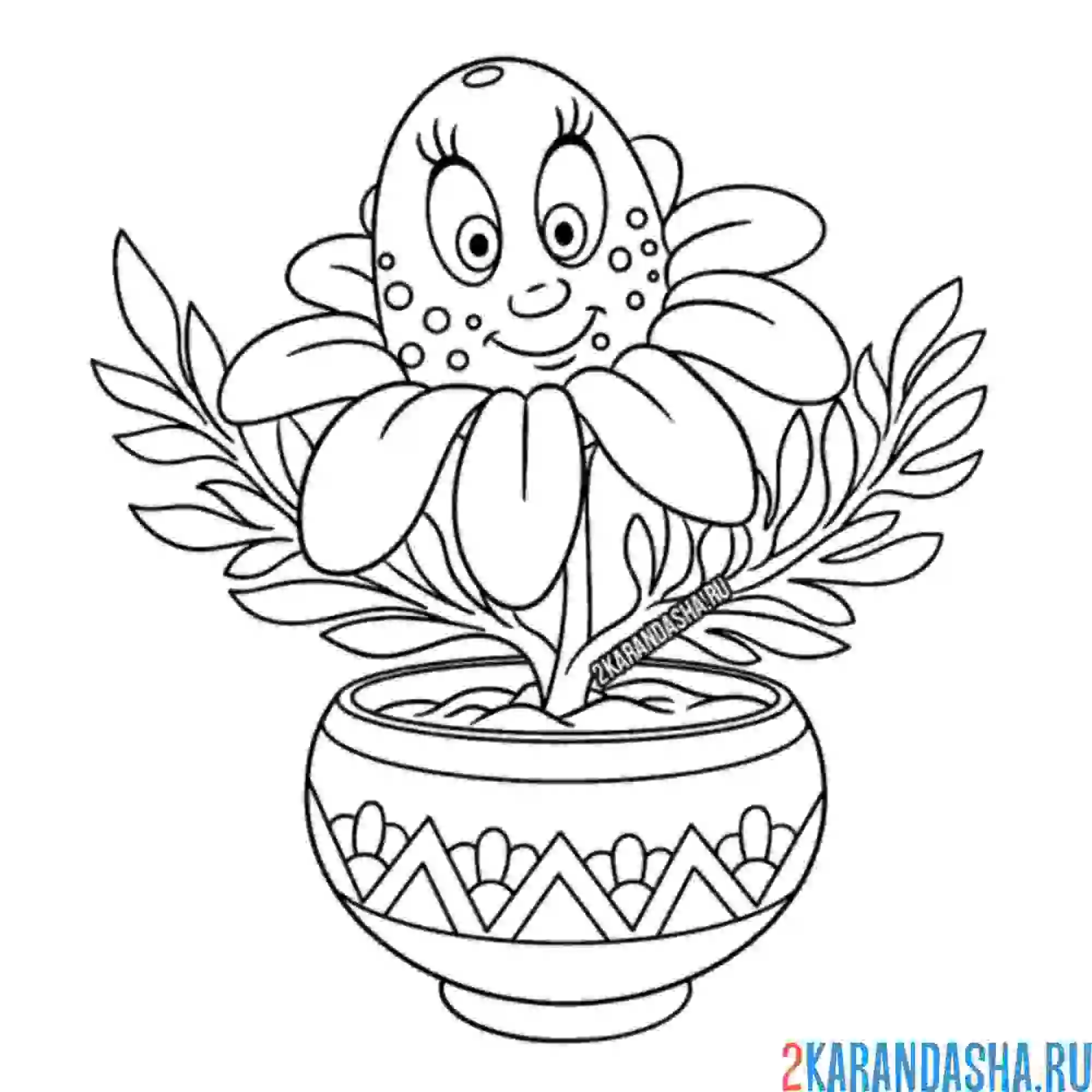 Раскраска ромашка с глазками в горшке