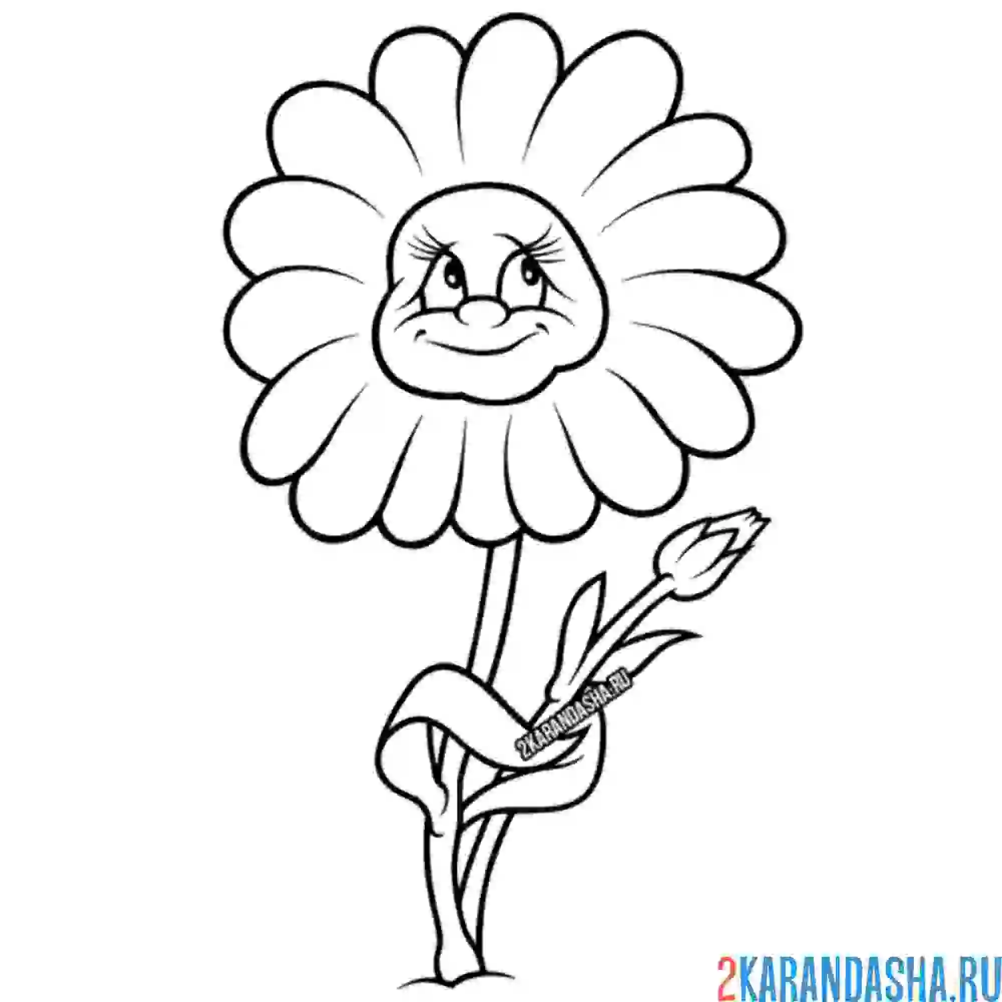 Раскраска чудесная ромашка