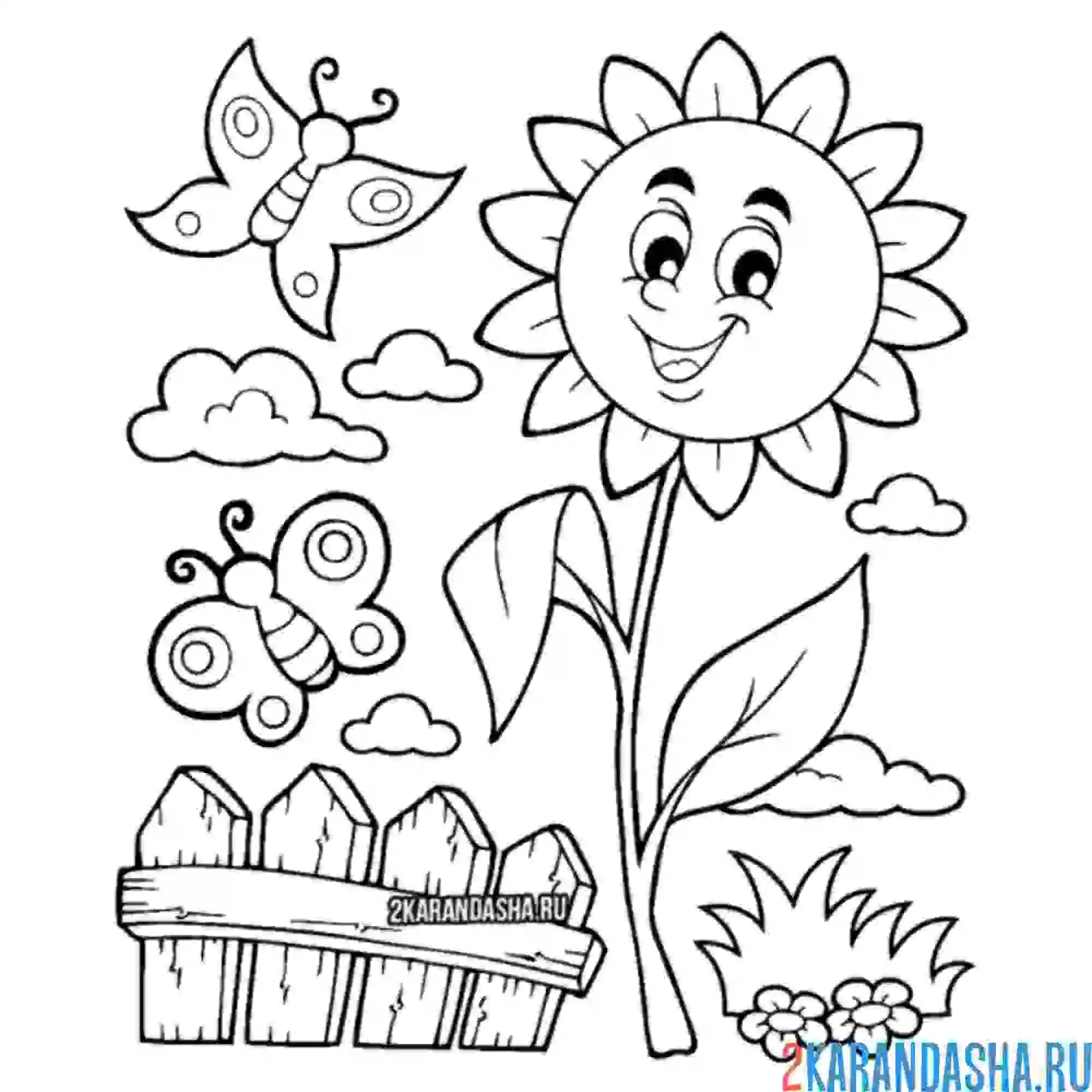 Раскраска цветочек и бабочки