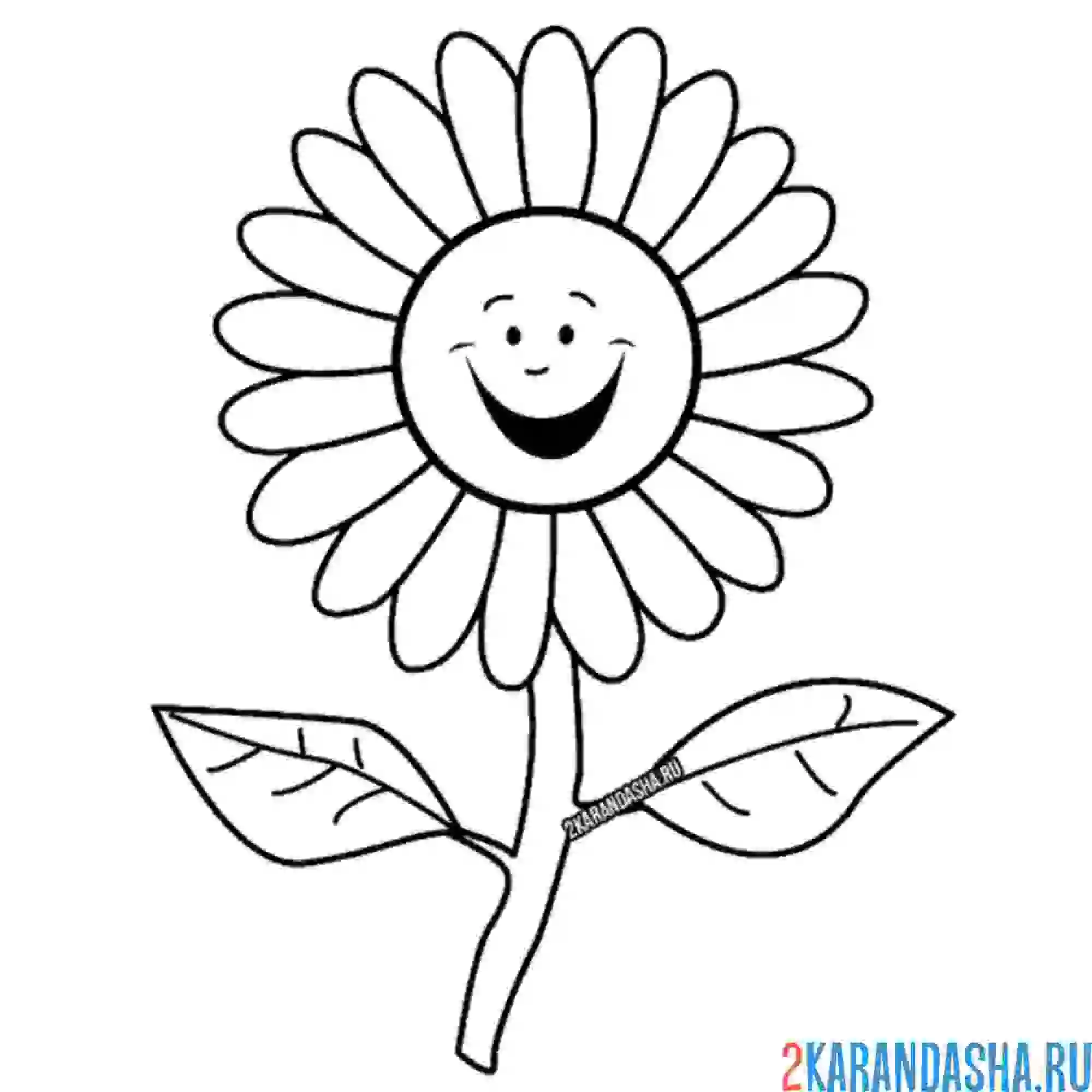 Раскраска ромашка весело улыбается