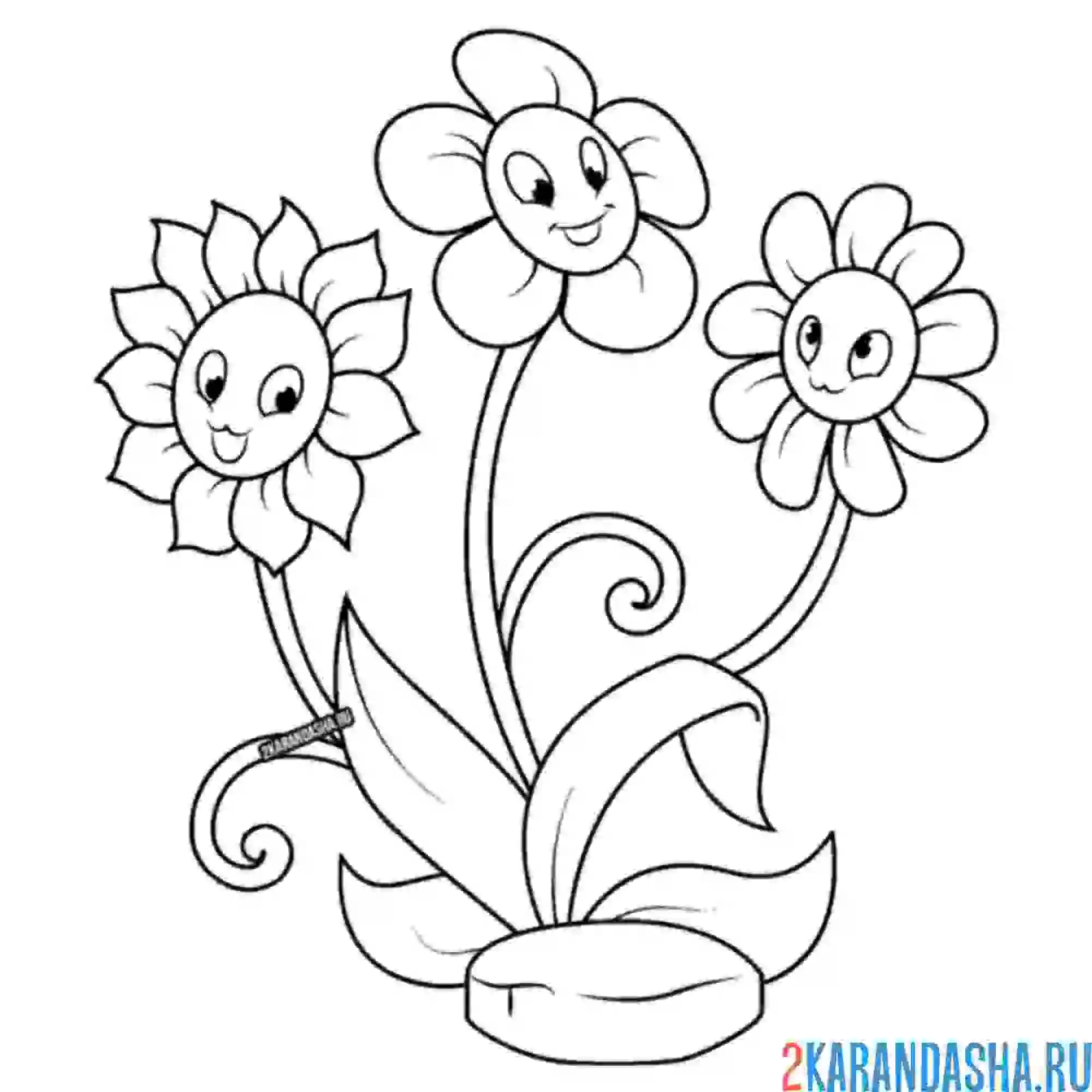 Раскраска три разных ромашки