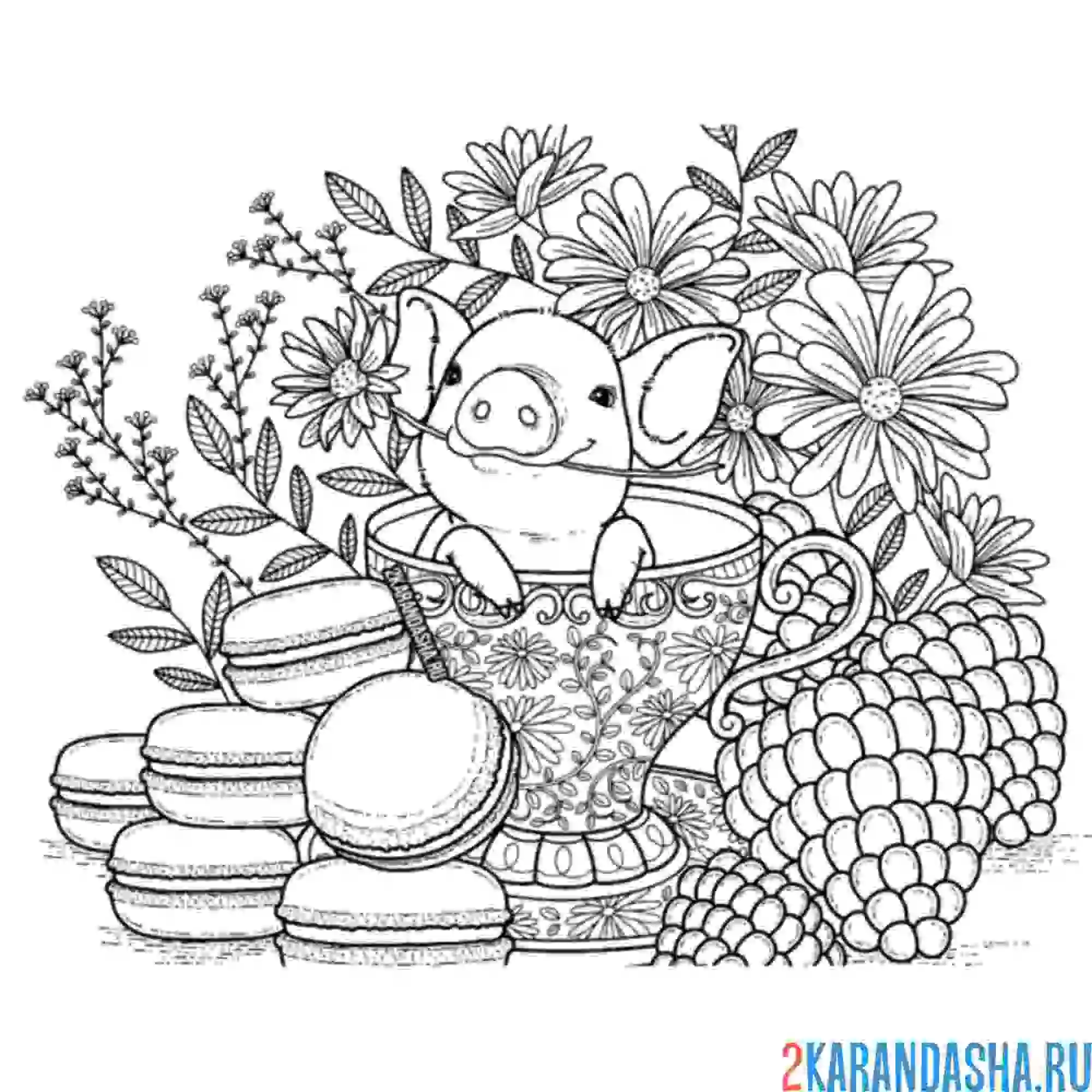 Раскраска хрюшка в букете ромашек