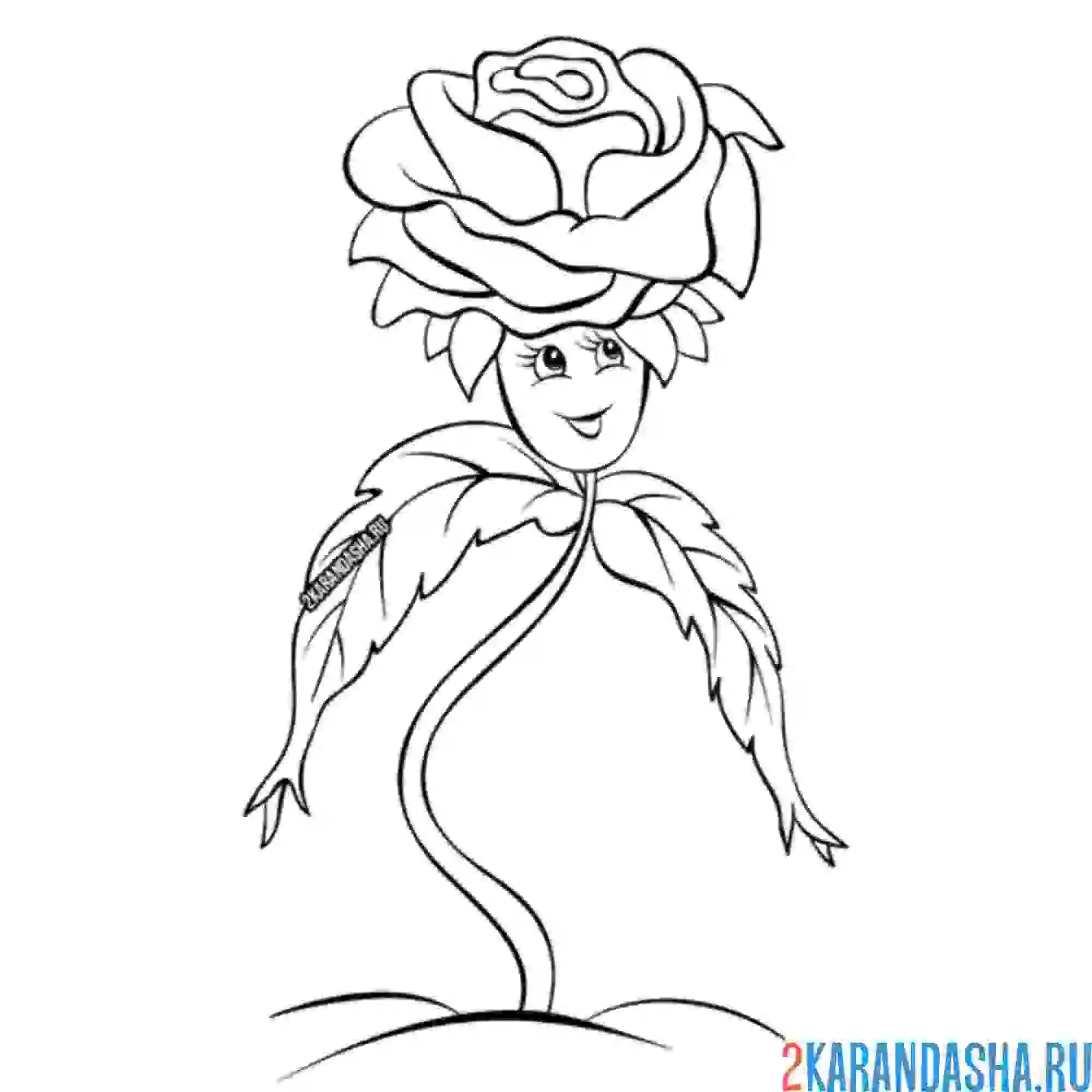 Раскраска роза с лицом