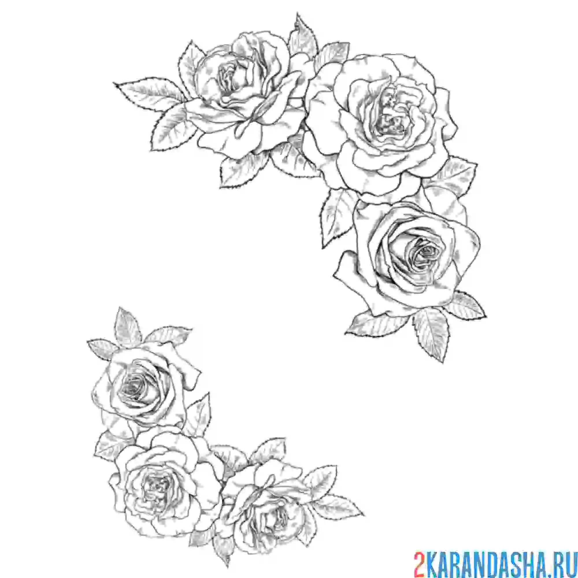 Раскраска розы в уголках