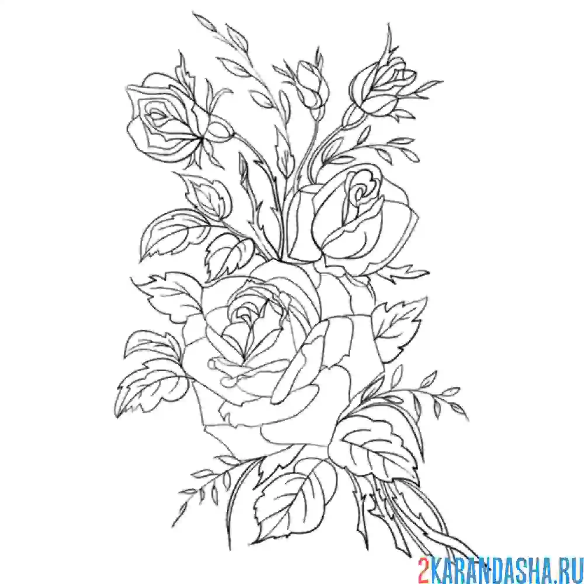 Раскраска розочки на листке