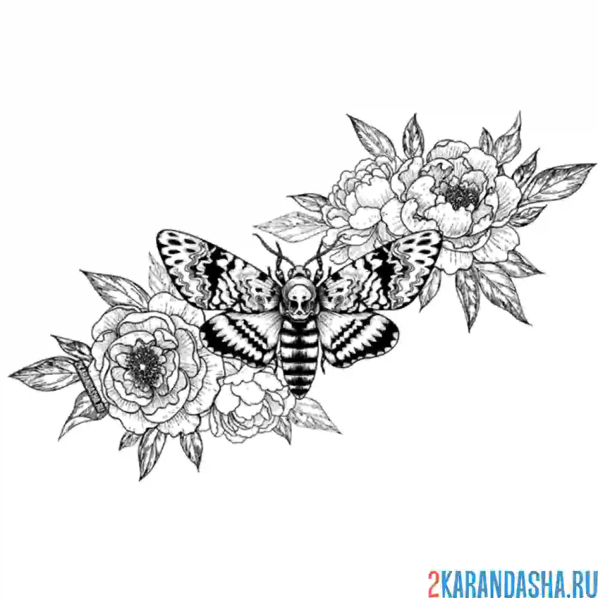 Раскраска роза и бабочка в них