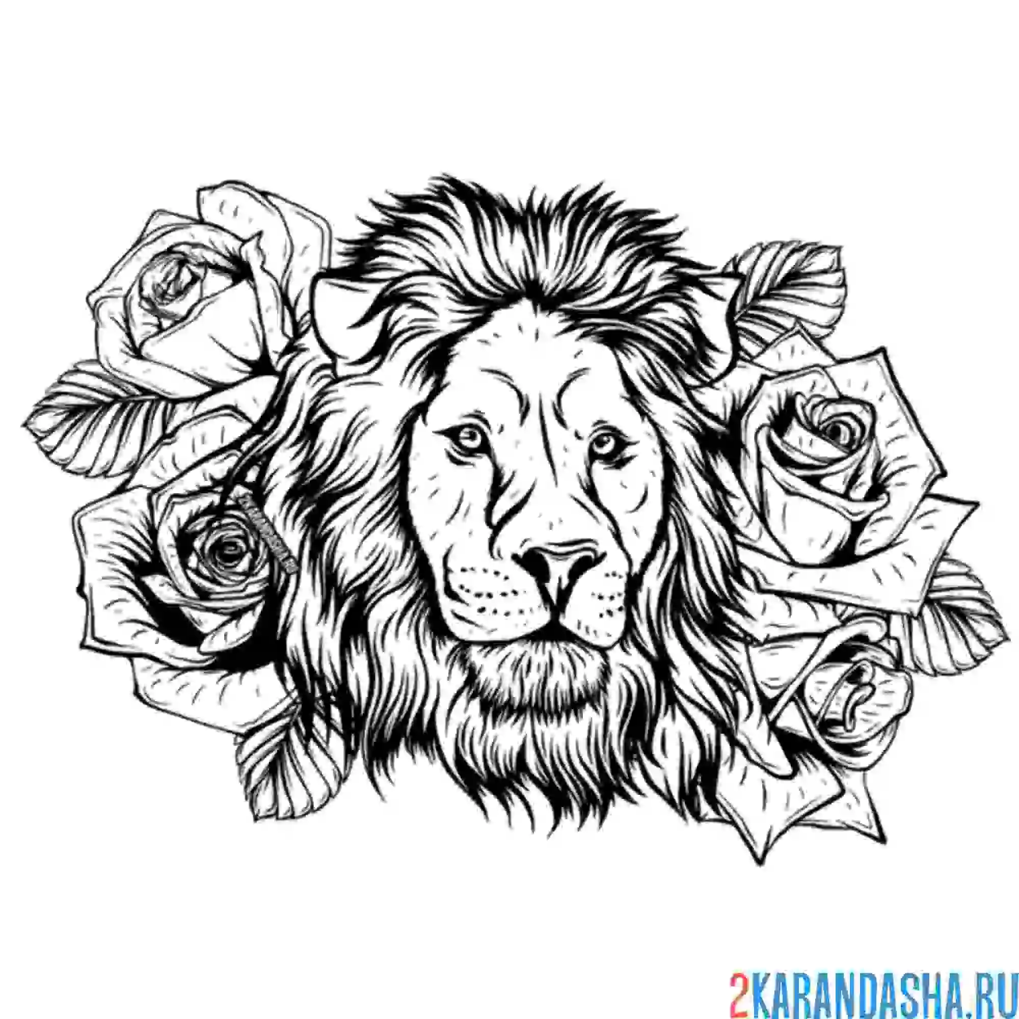 Раскраска лев и розы