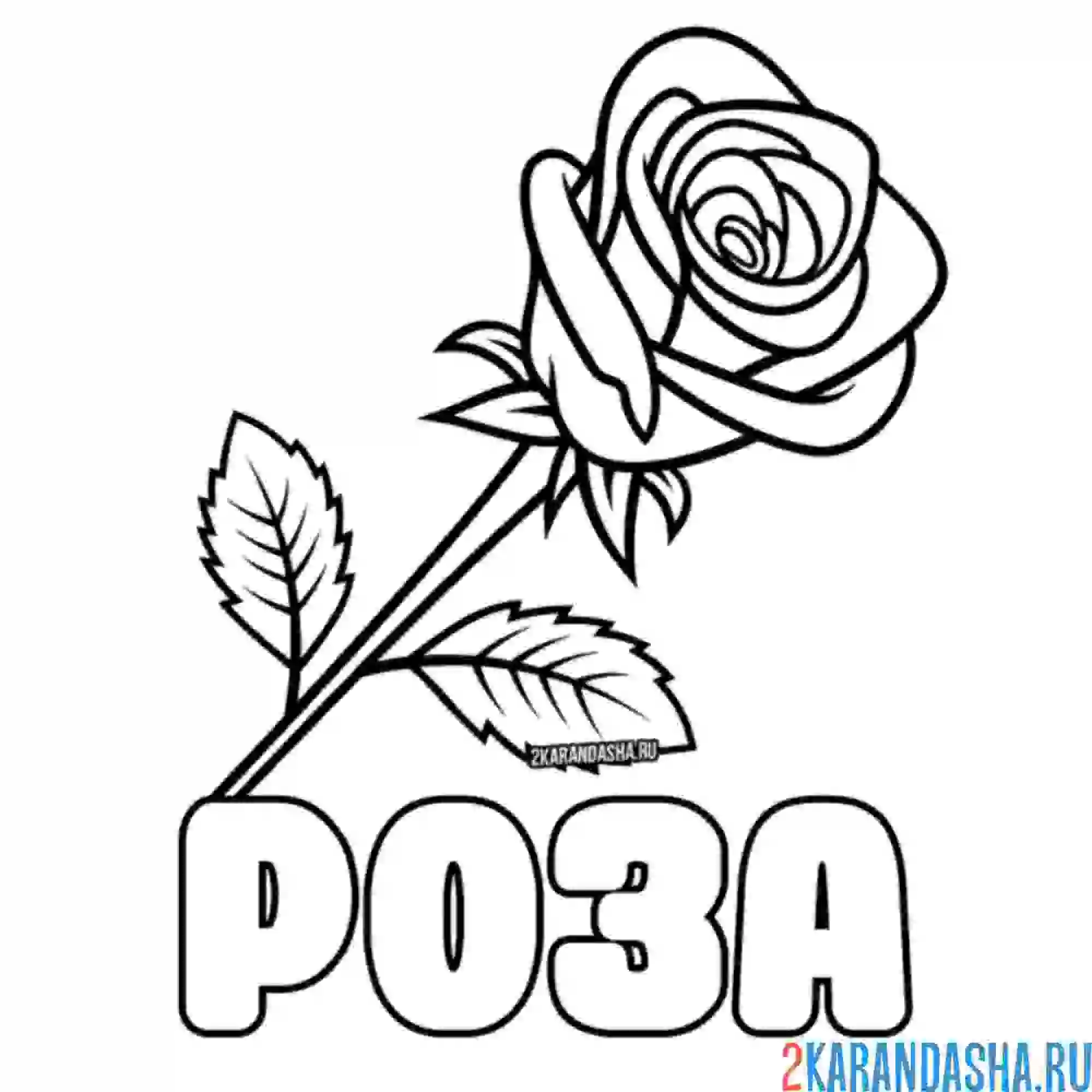 Раскраска розочка для любимой