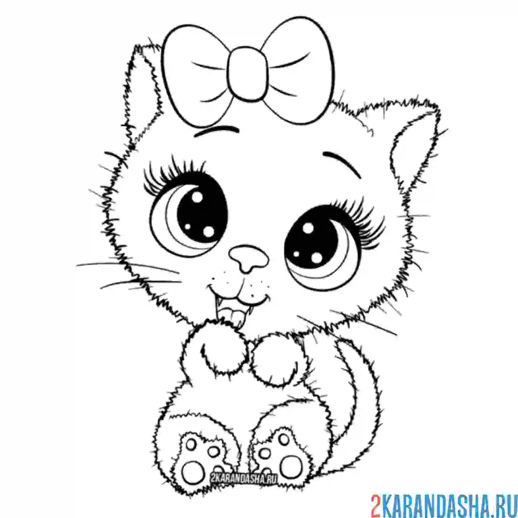 Раскраска котенок умывается