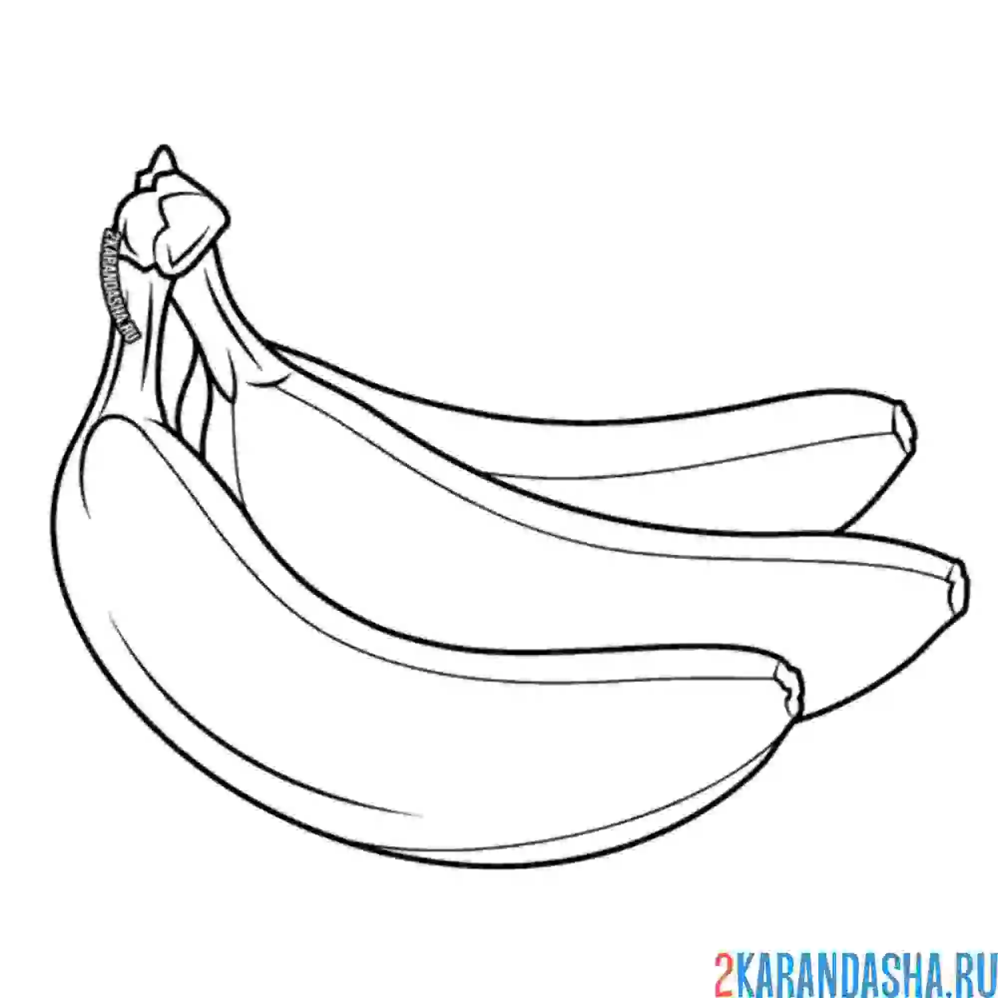 Раскраска три банана