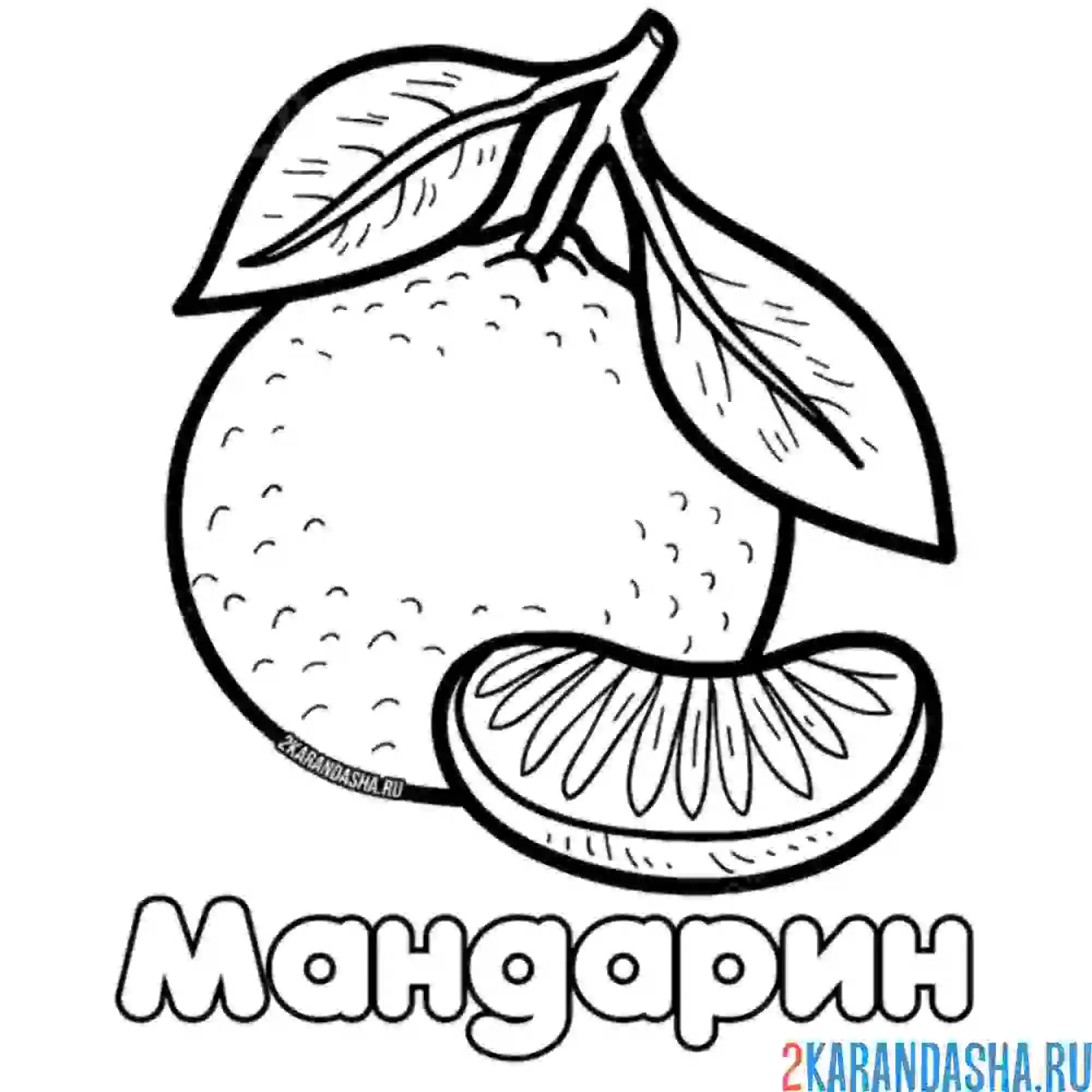 Раскраска мандарин с долькой