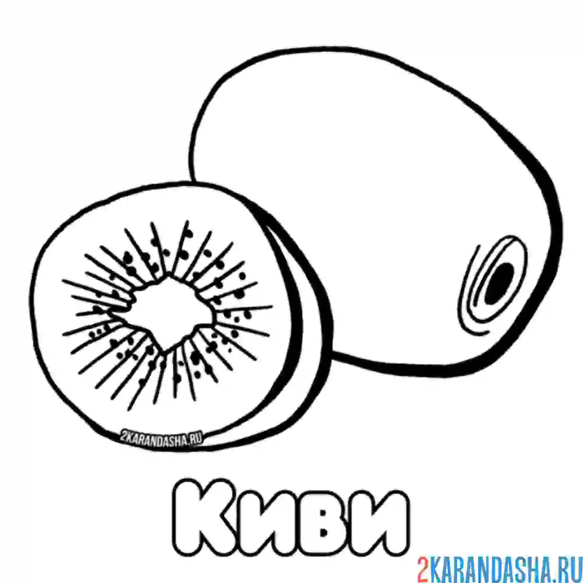 Раскраска киви и половинка