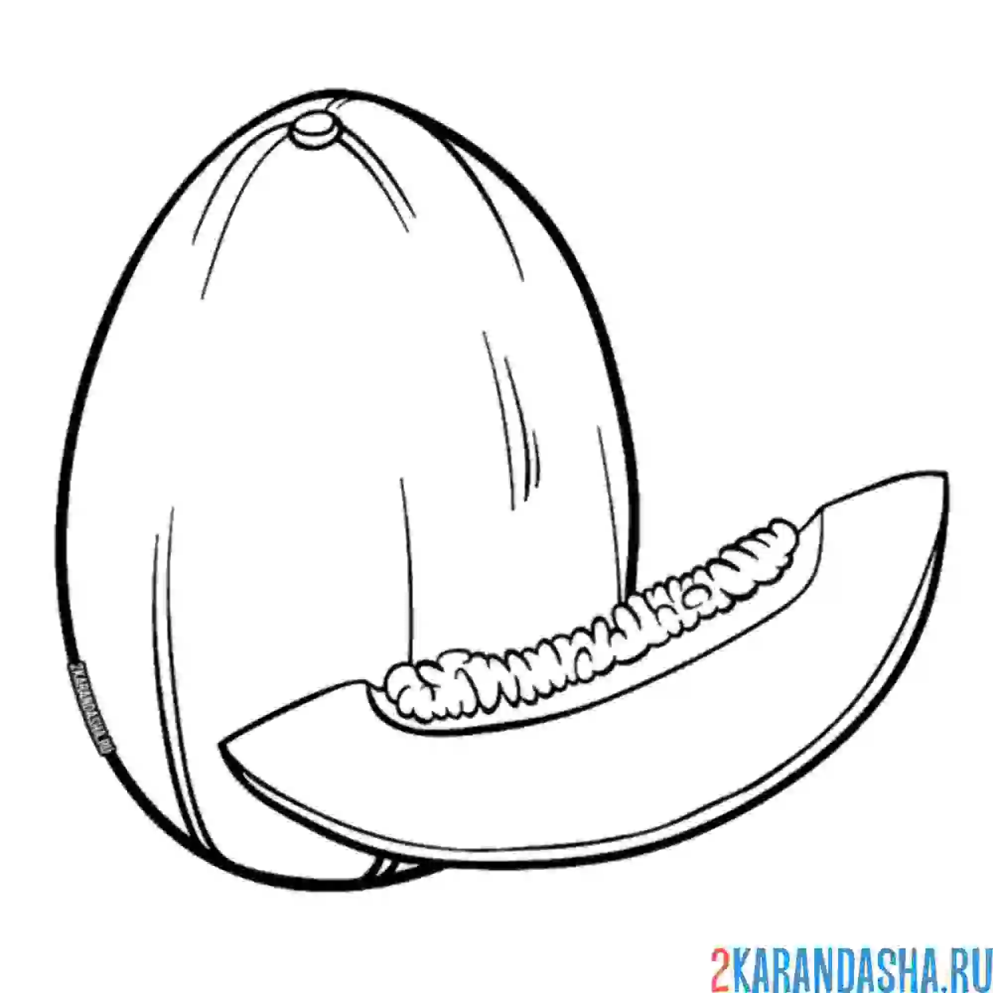 Раскраска дыня и кусочек