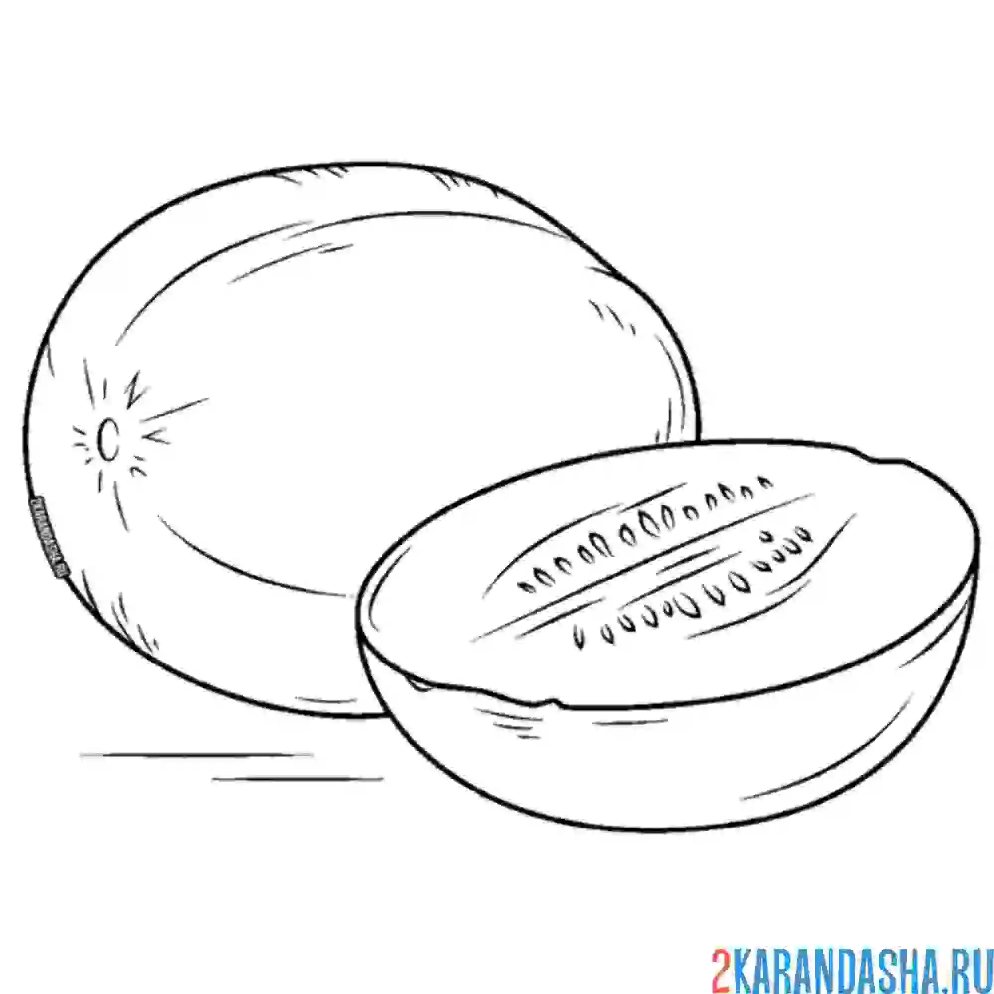 Раскраска даня и половинка