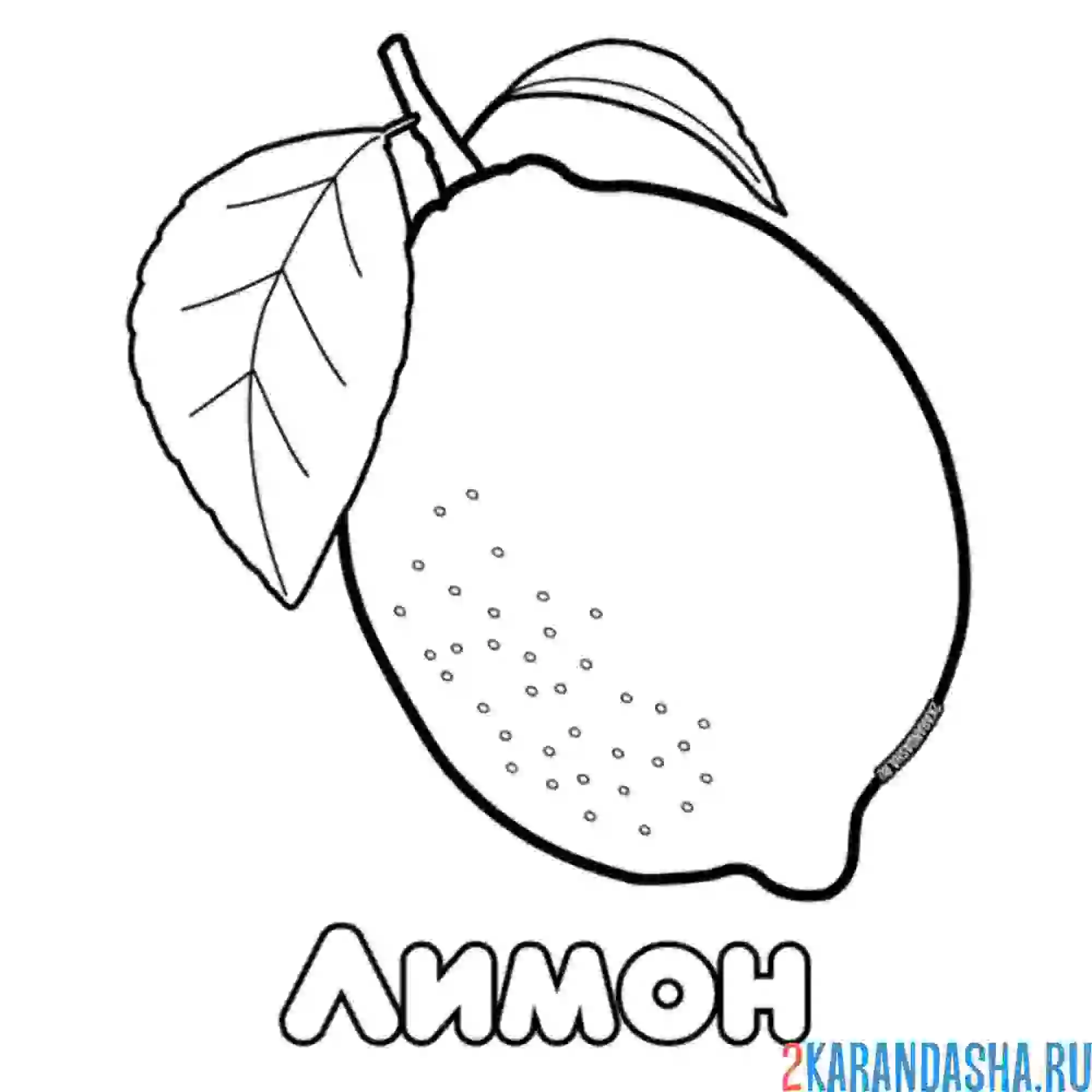 Раскраска лимон с листочком