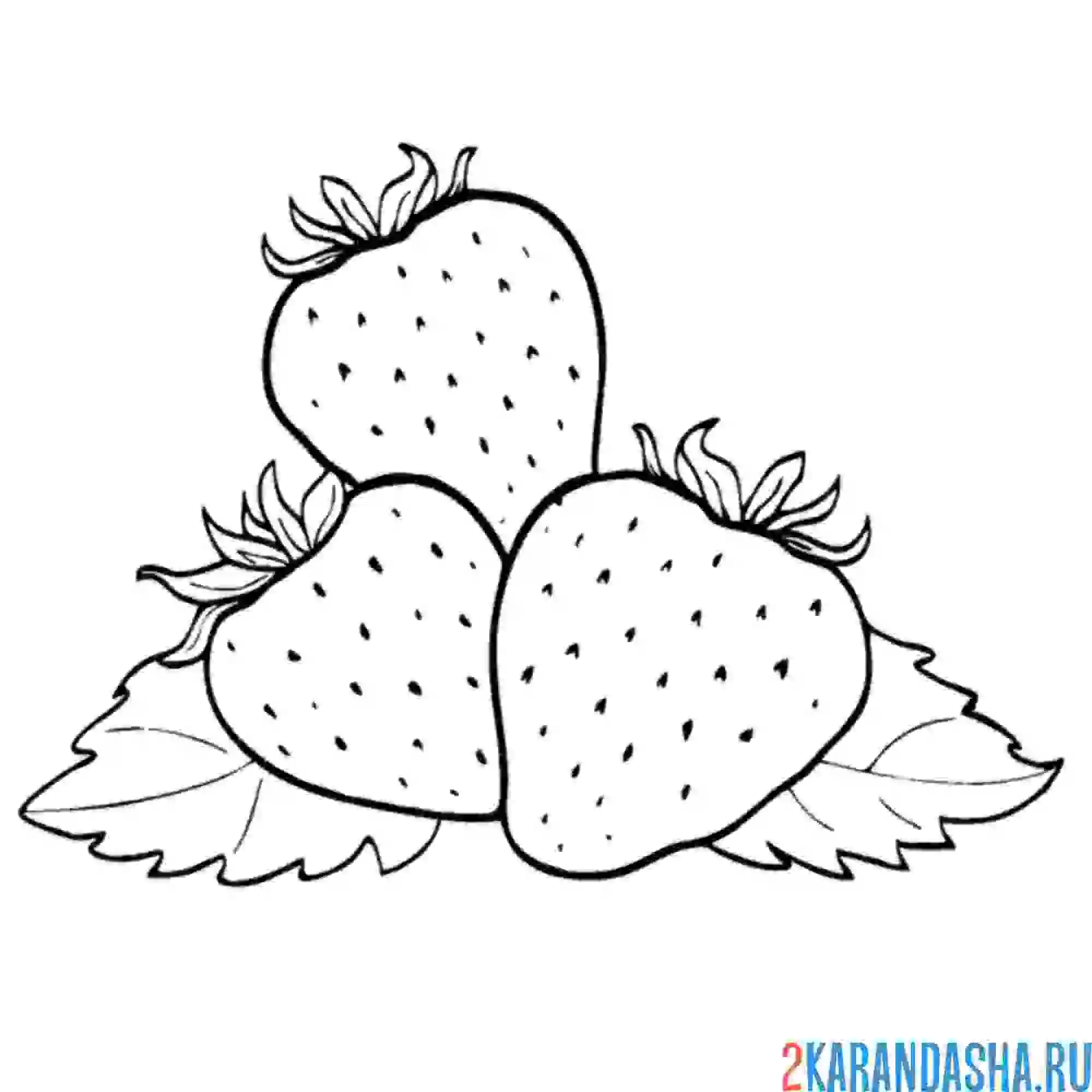 Раскраска клубничка много
