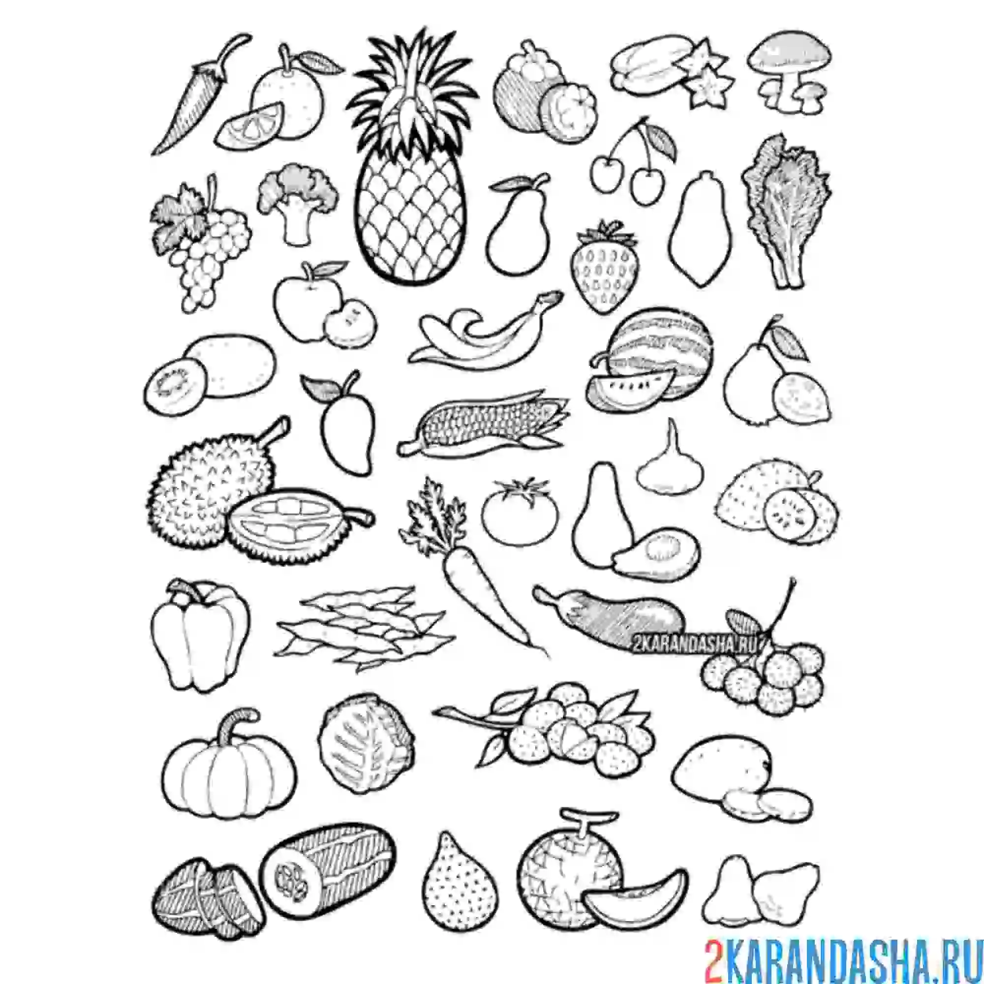Раскраска фрукты и овощи много