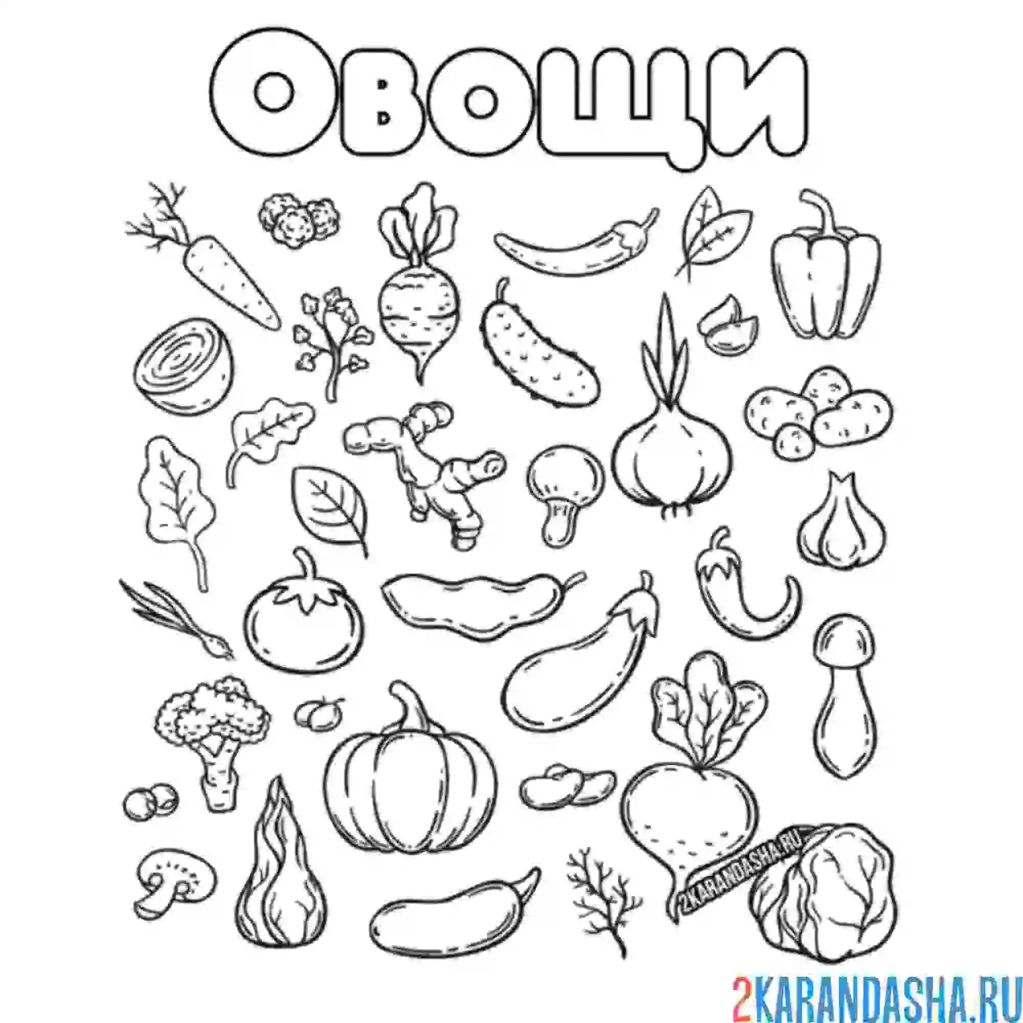 Раскраска овощи много на листе