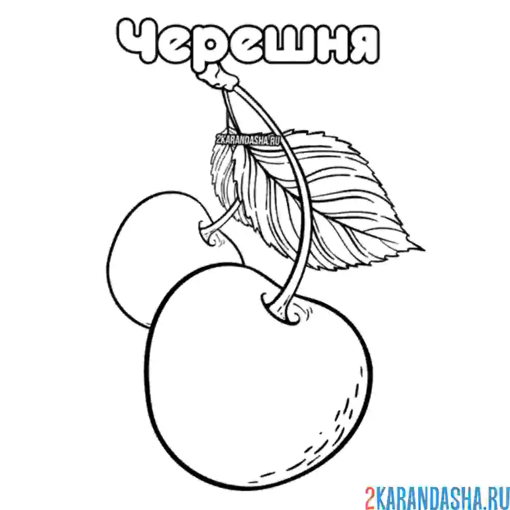 Раскраска черешня