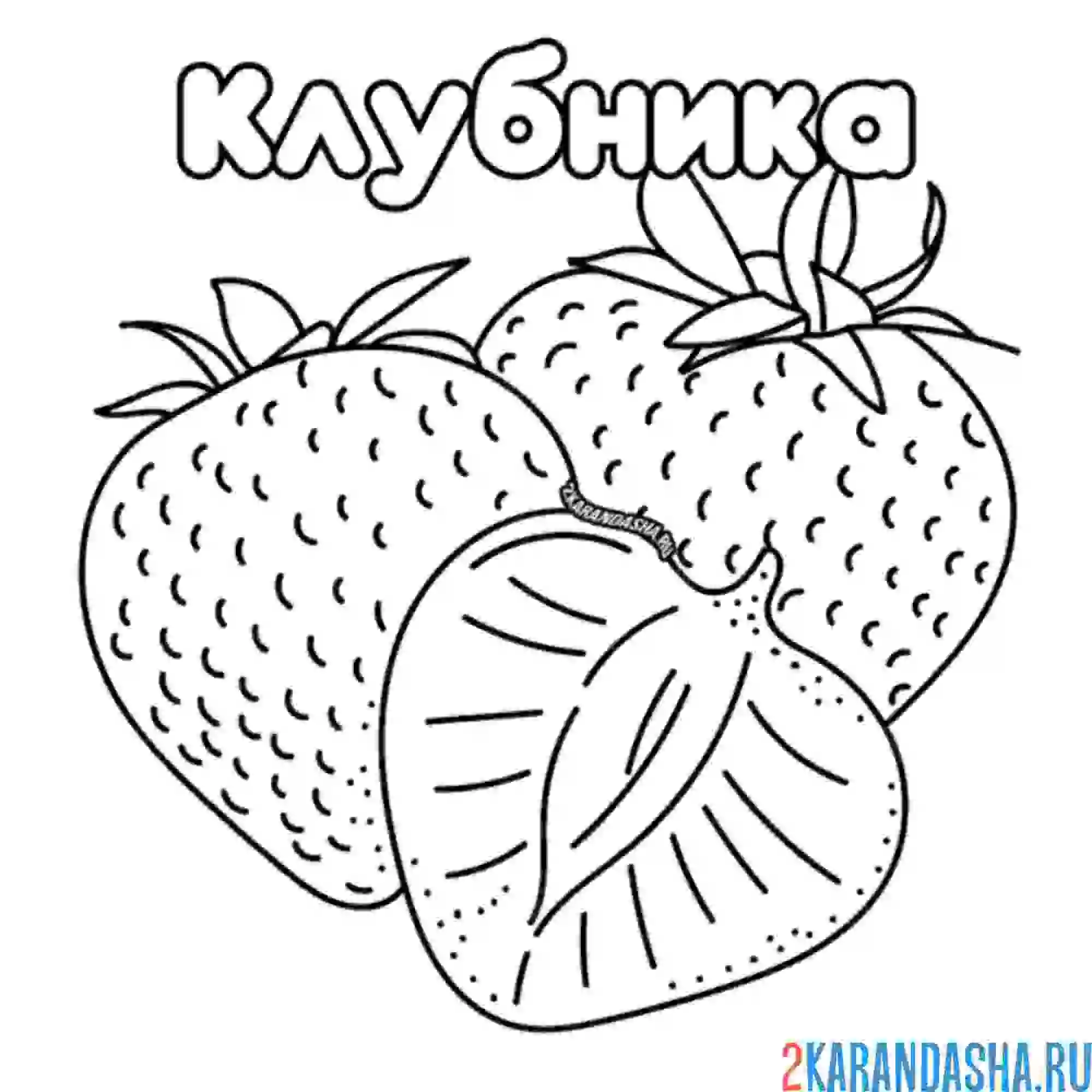 Раскраска клубника ягода