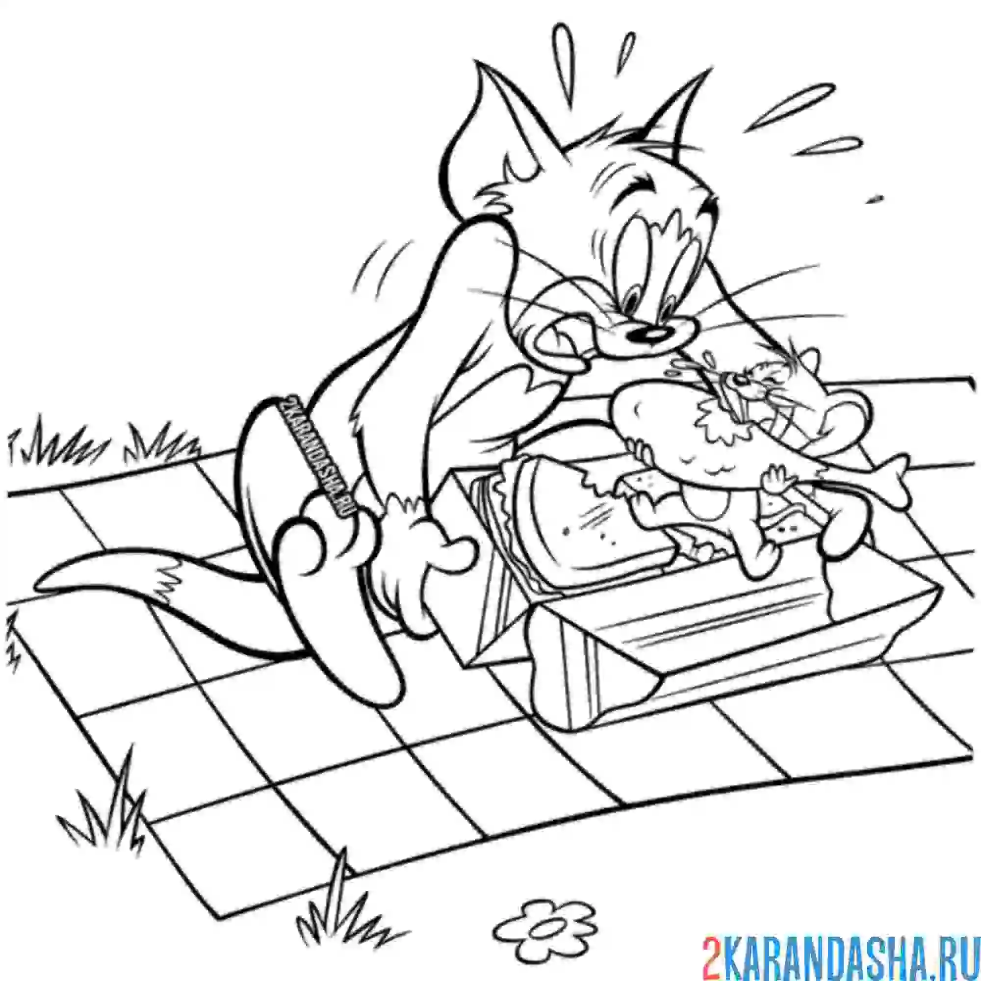 Раскраска том и джерри на пикнике
