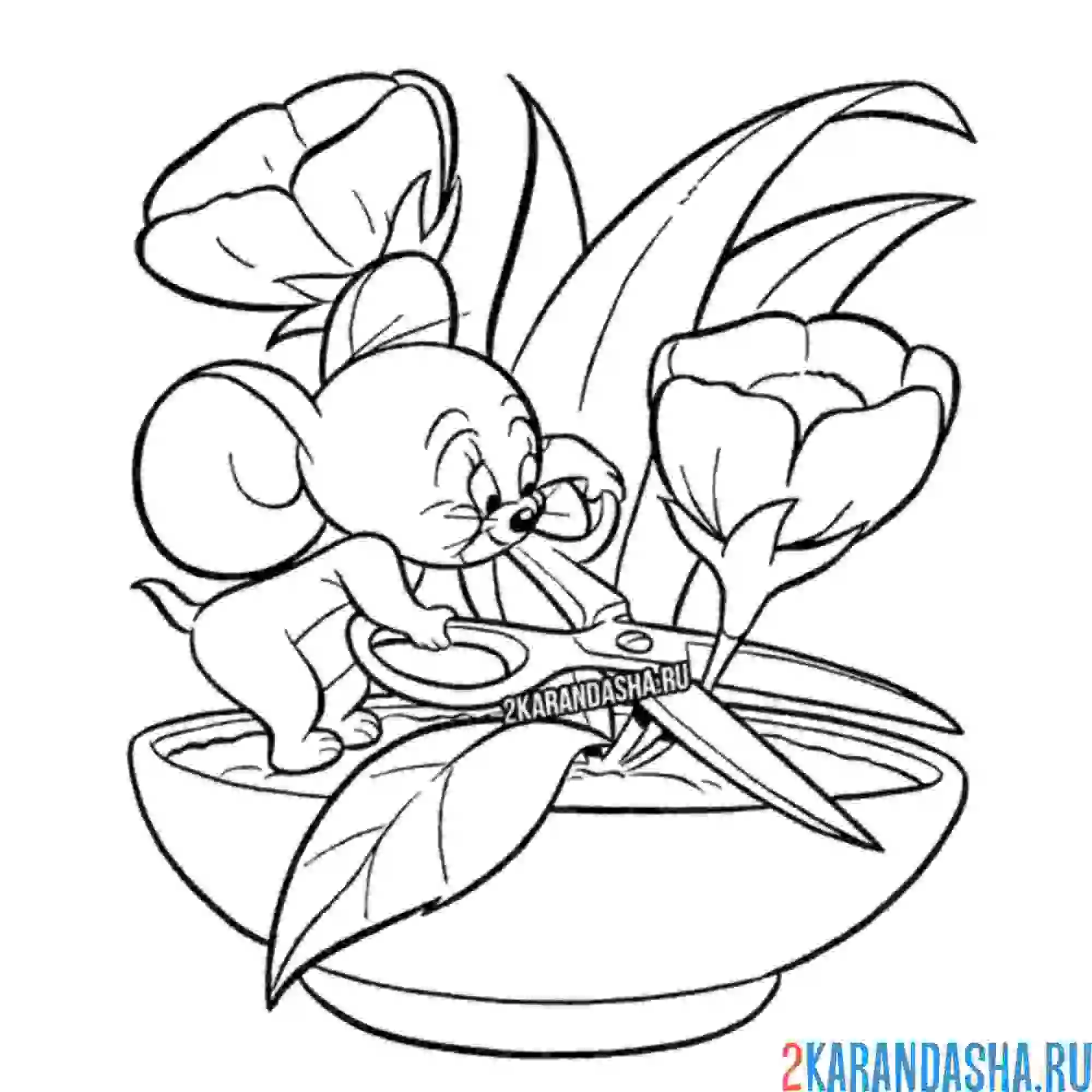 Раскраска джерри