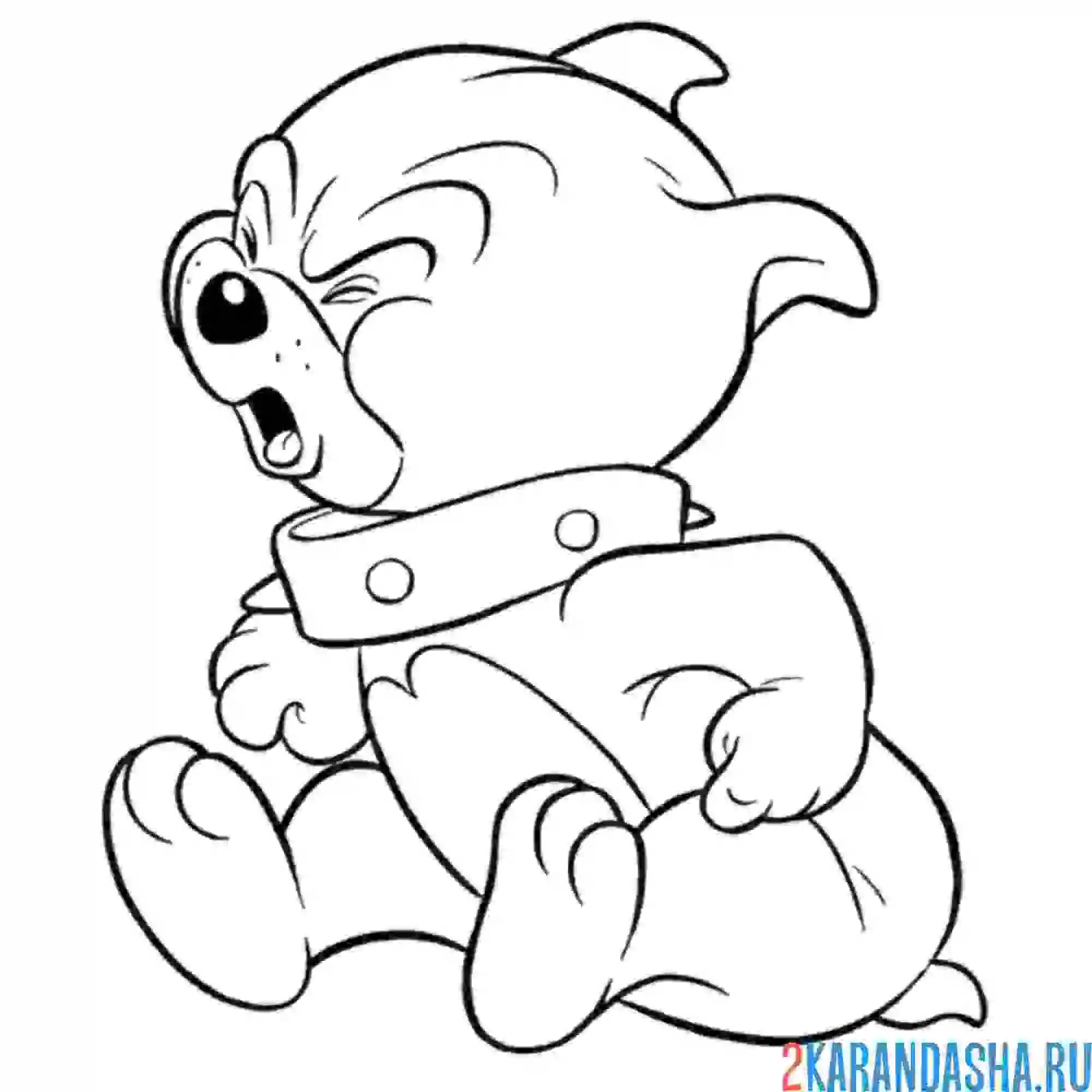 Раскраска сын бульдога спайка