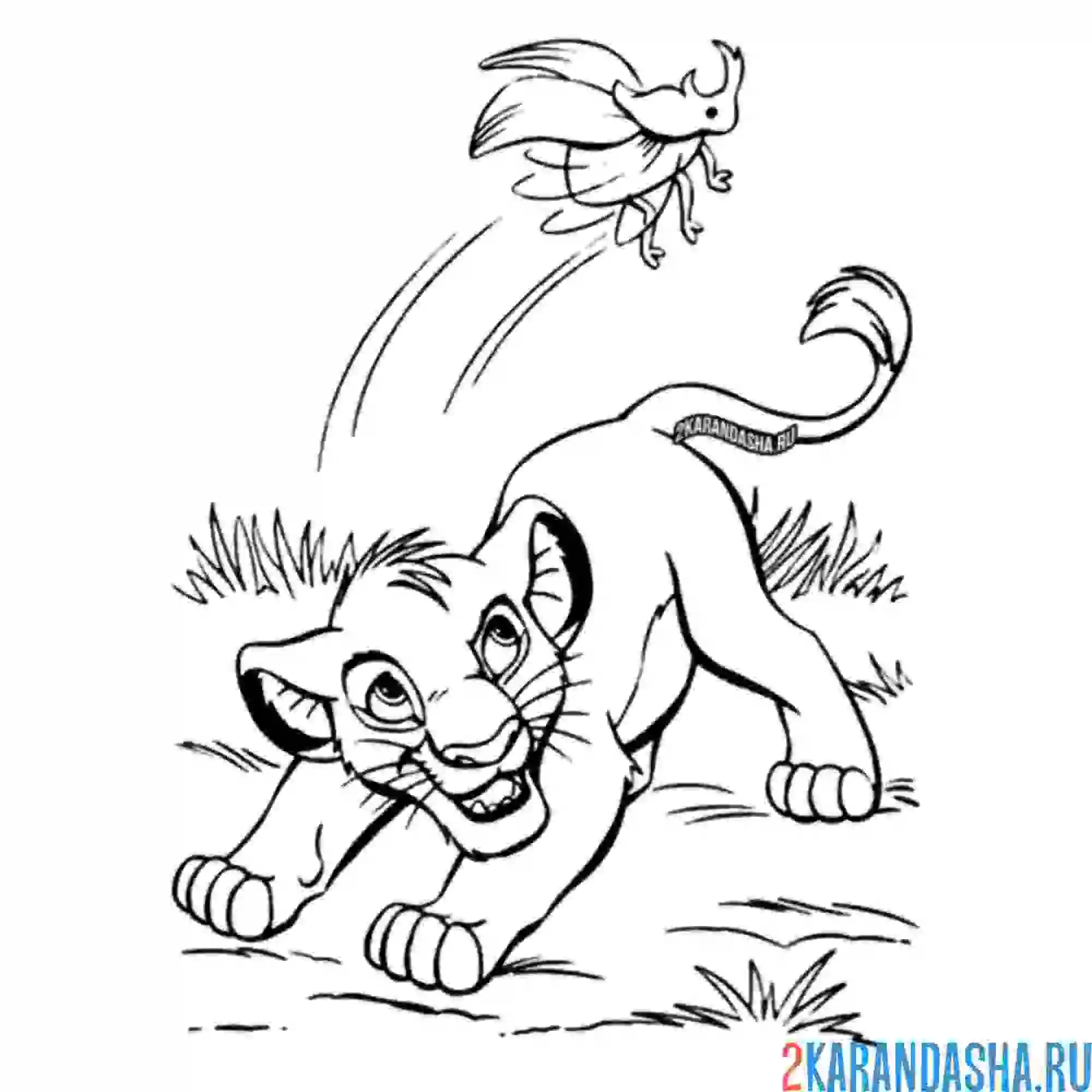 Раскраска симба убегает от жука король лев