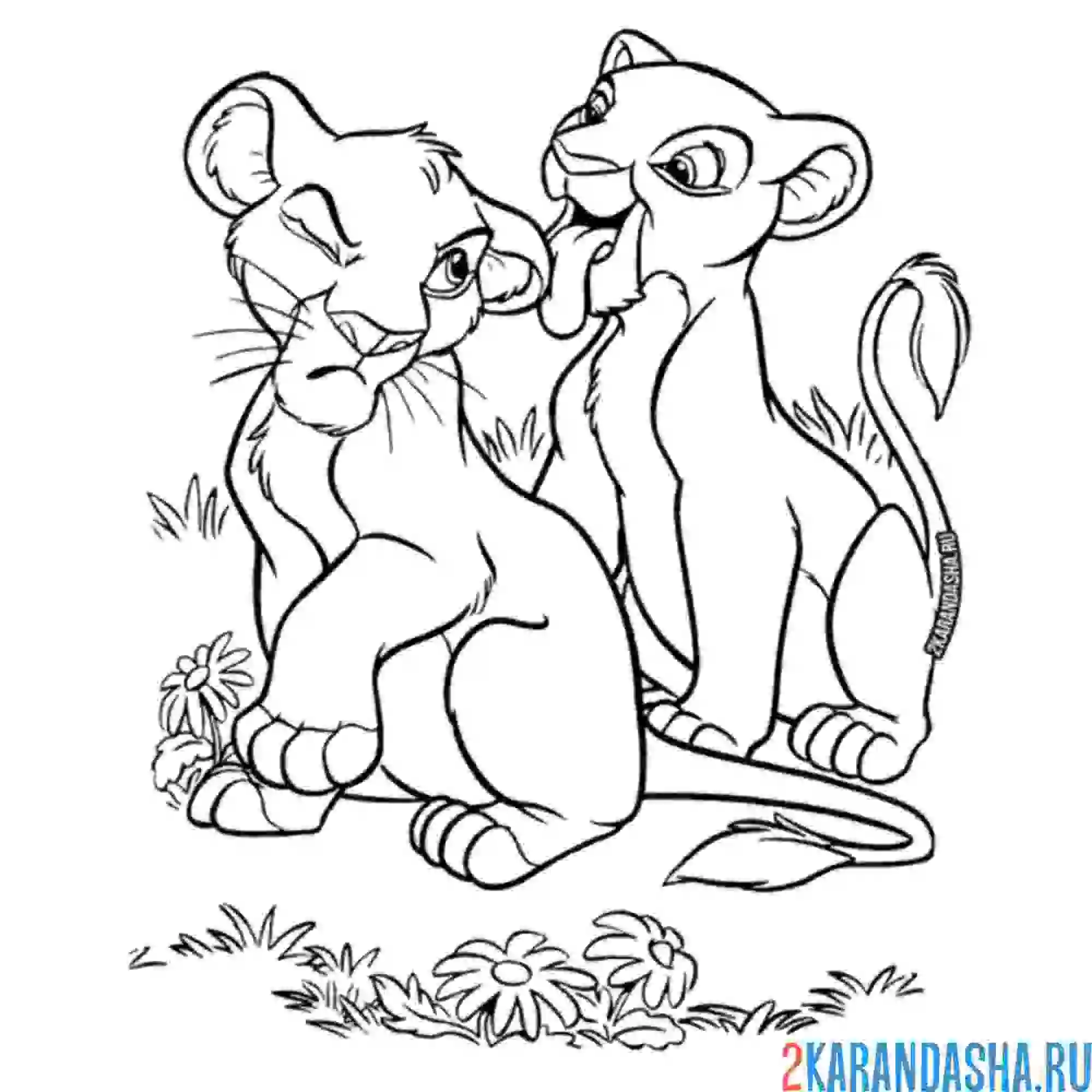 Раскраска симба и нала знакомятся