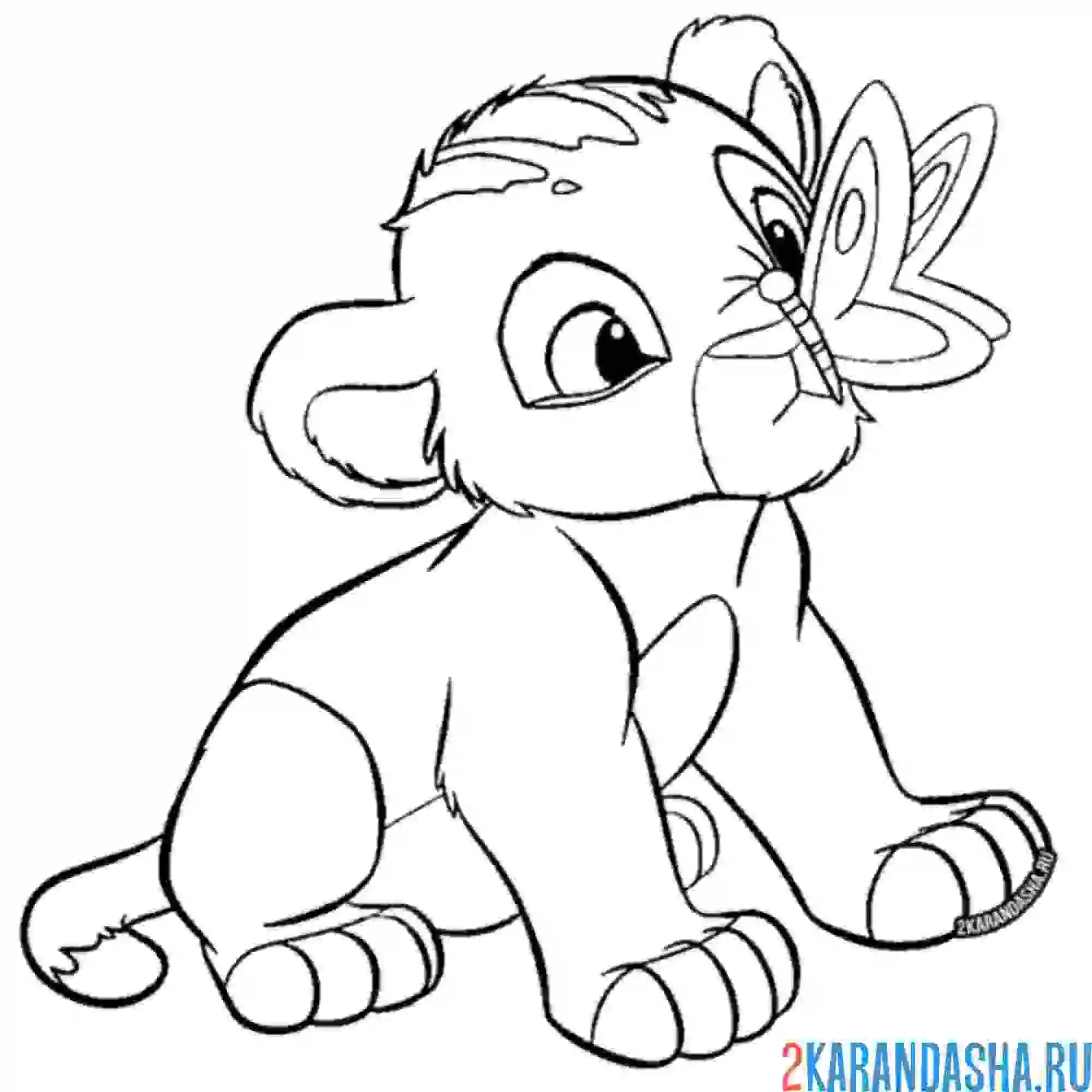 Раскраска маленький симба и бабочка