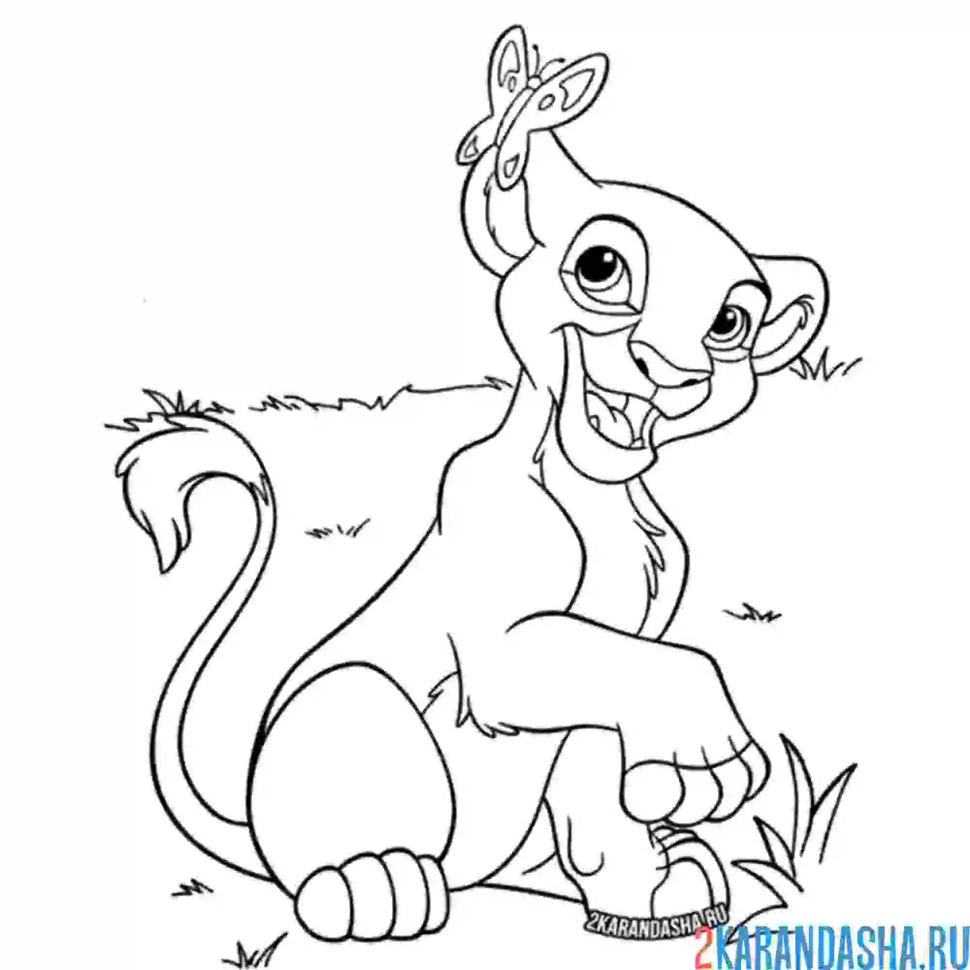 Раскраска симба играет с бабочкой